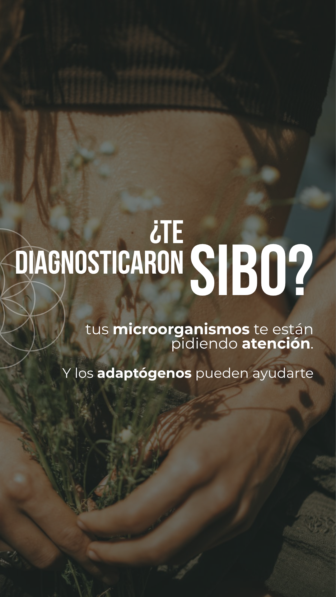 InterSer Facebook ad
