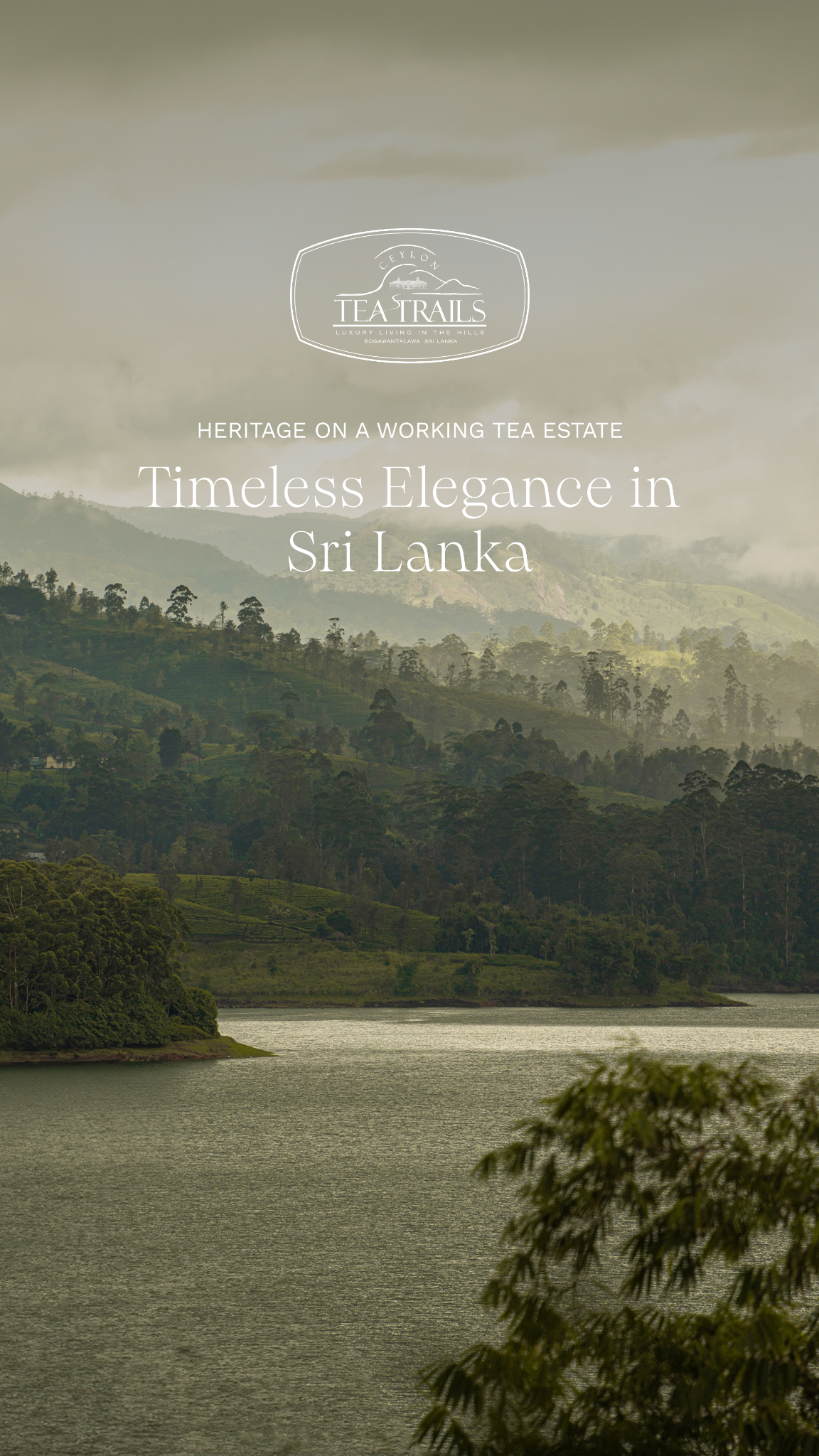 Ceylon Tea Trails Facebook ad