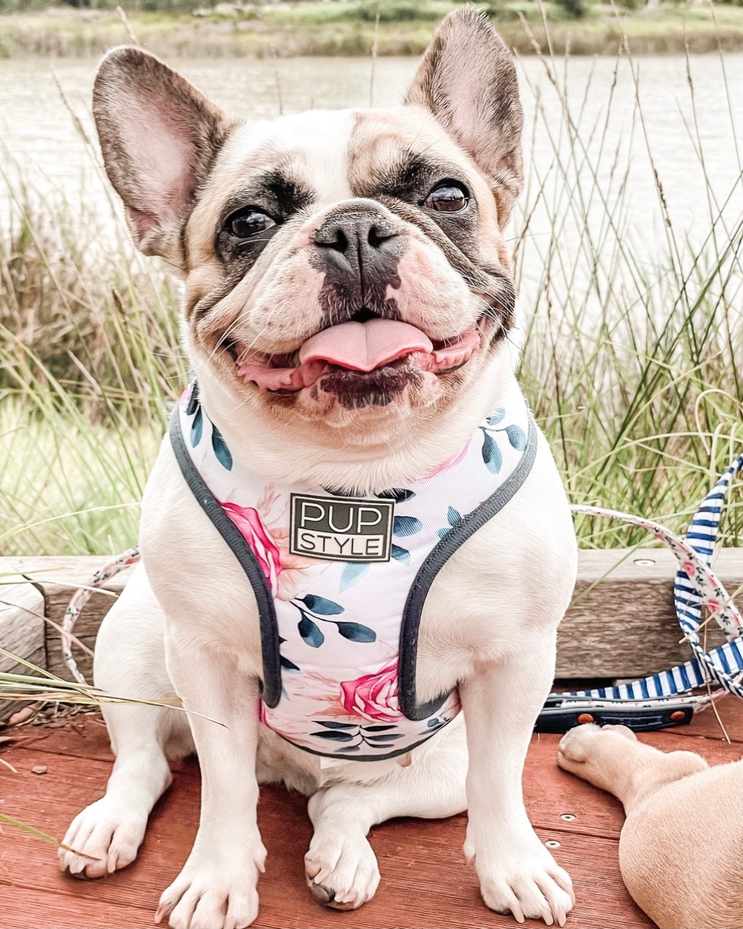 PUPSTYLE Store Facebook ad