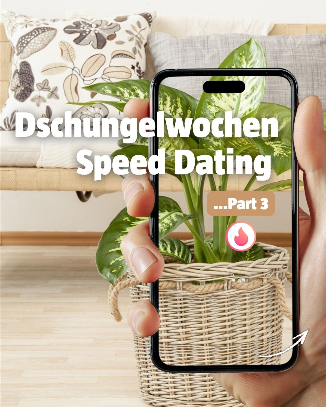 BAUHAUS Schweiz Facebook ad
