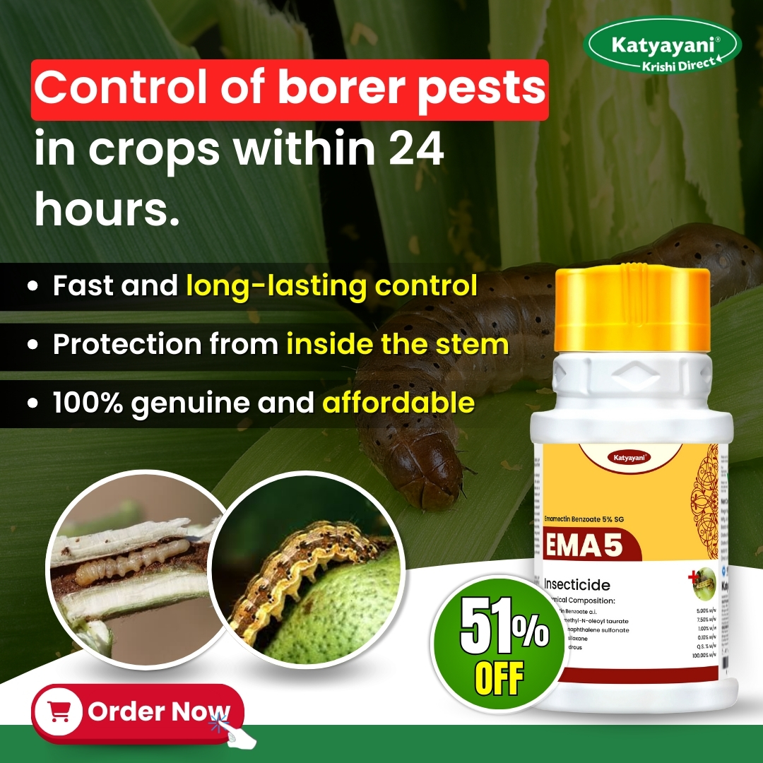 Katyayani Organics Facebook ad