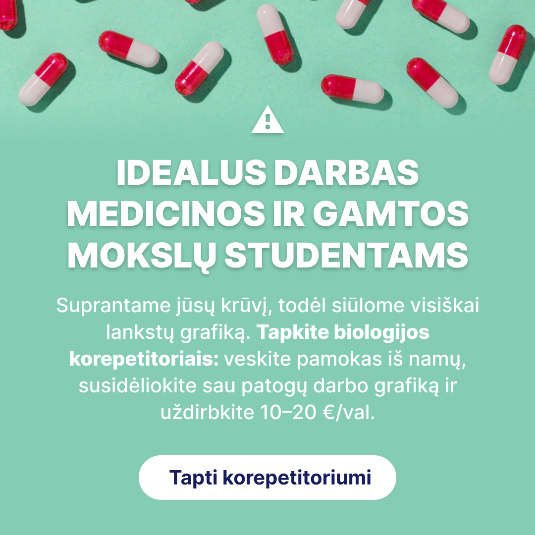 Digiklasė - by Memby Facebook ad