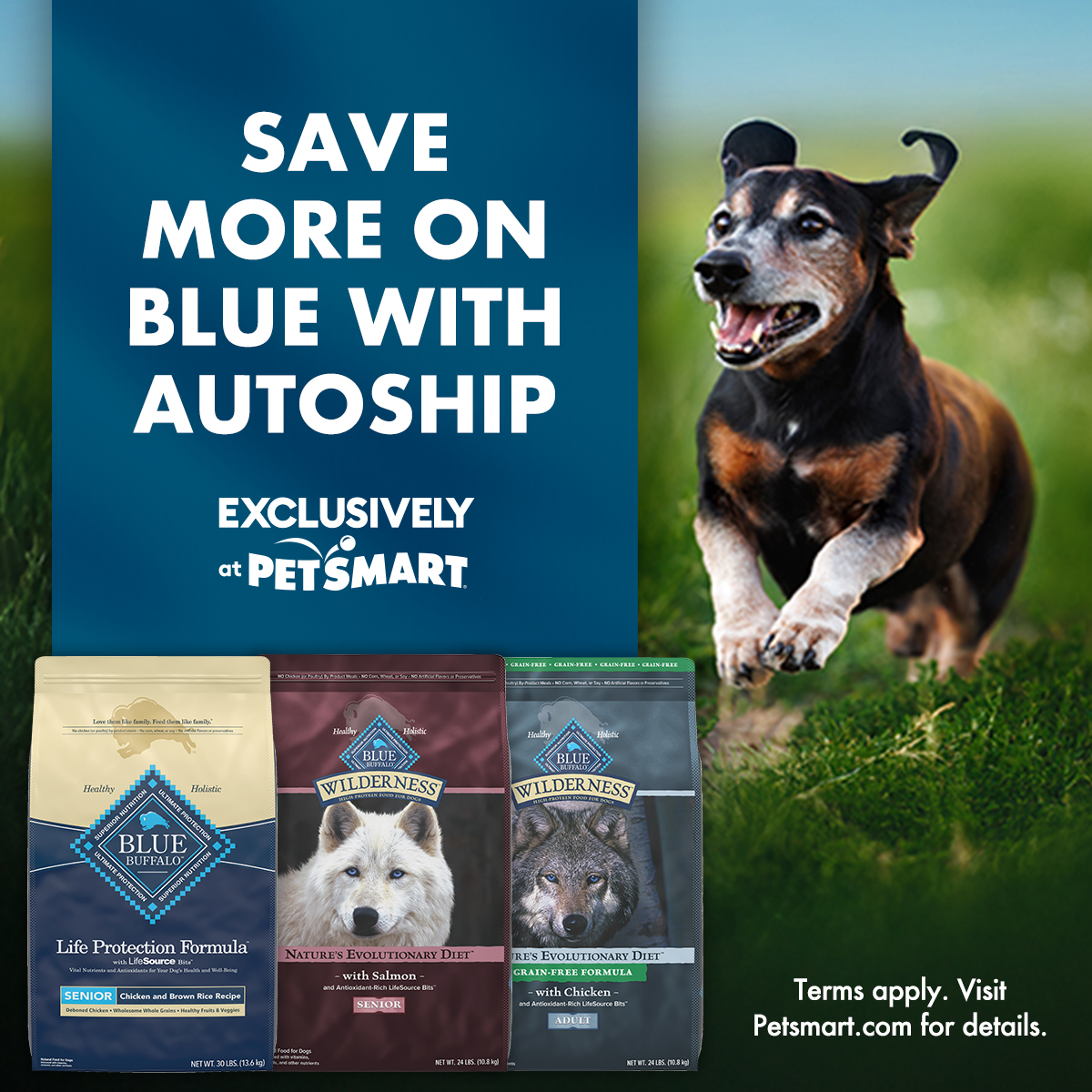 PetSmart Facebook ad from Dec 26, 2025
