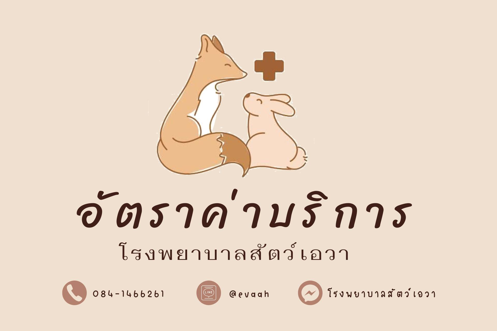 โรงพยาบาลสัตว์เอวา EVA Animal Hospital and Exotic pets Center Facebook ad