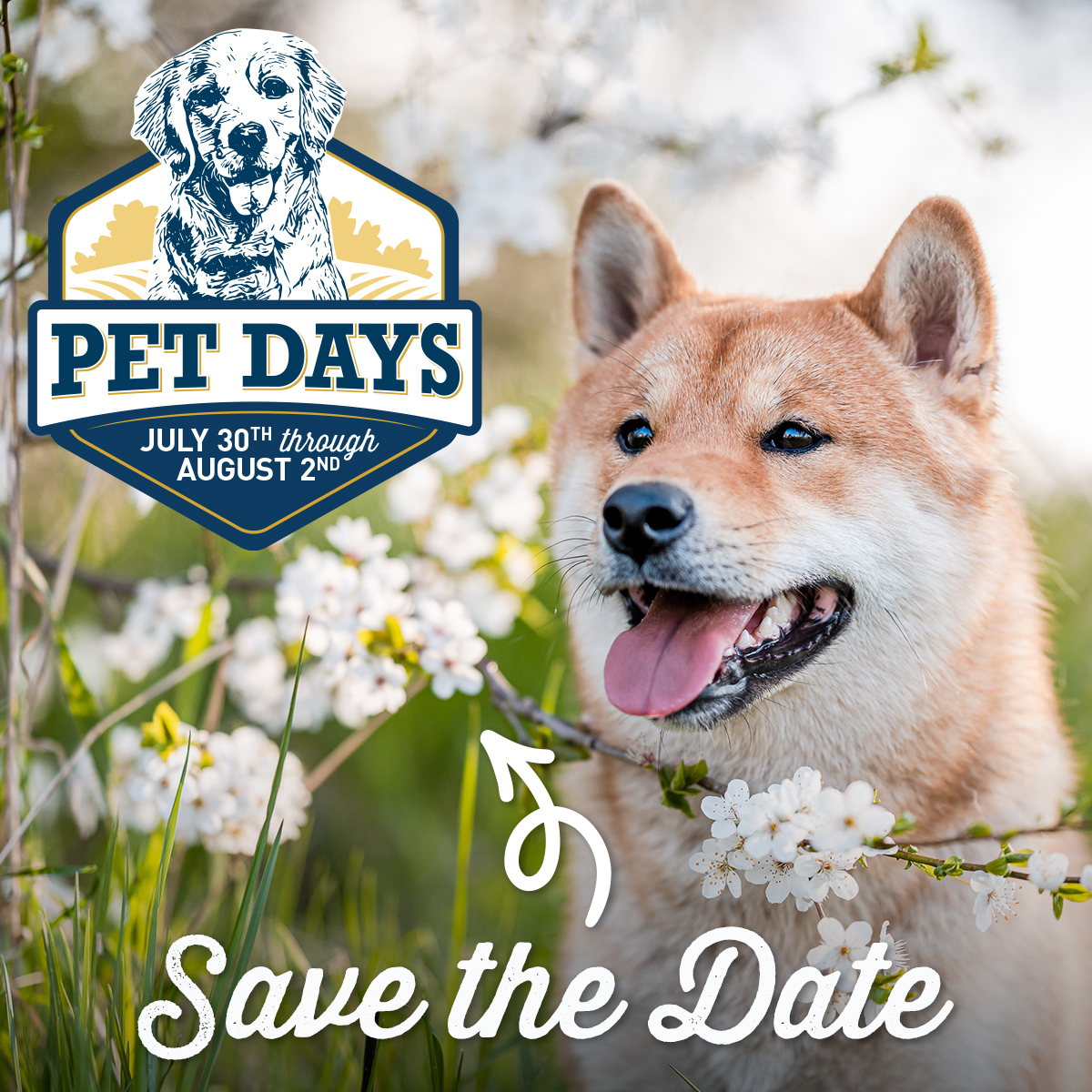 Wilco Facebook ad: Pet Days: Prineville, OR