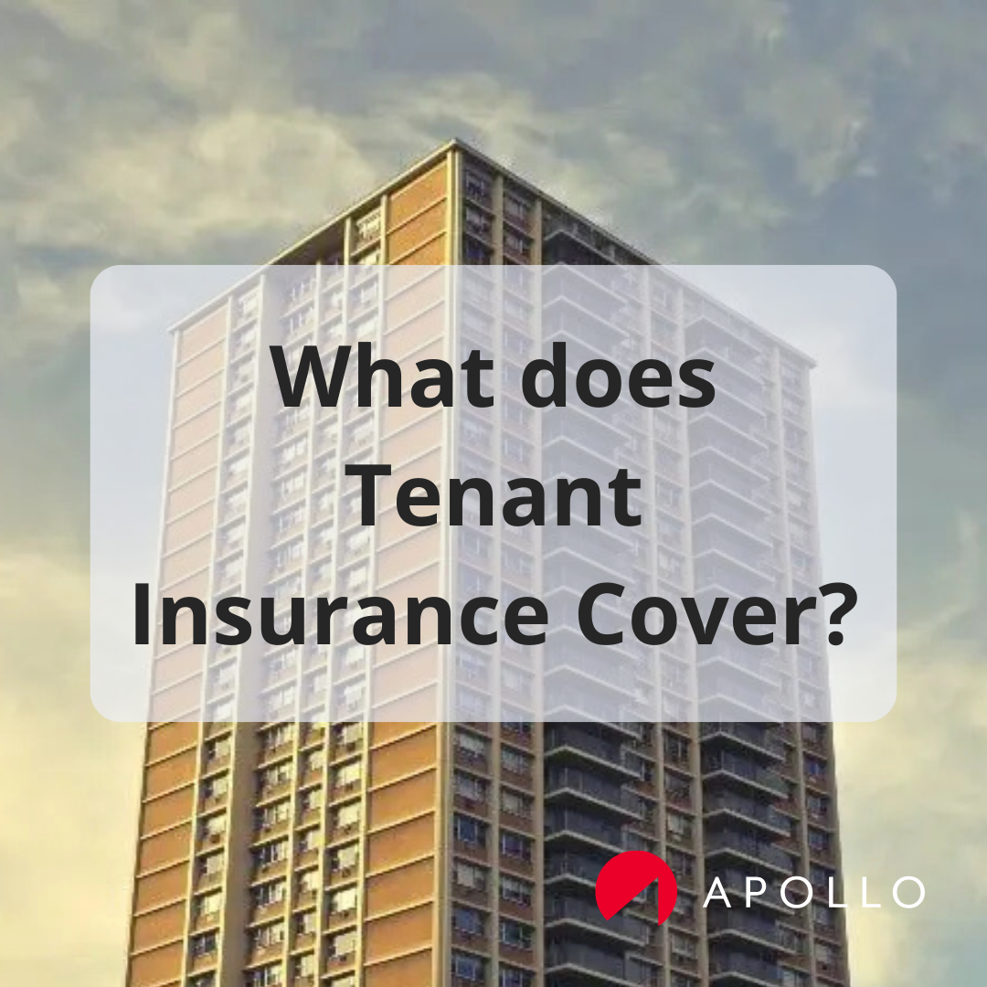 APOLLO Insurance Facebook ad