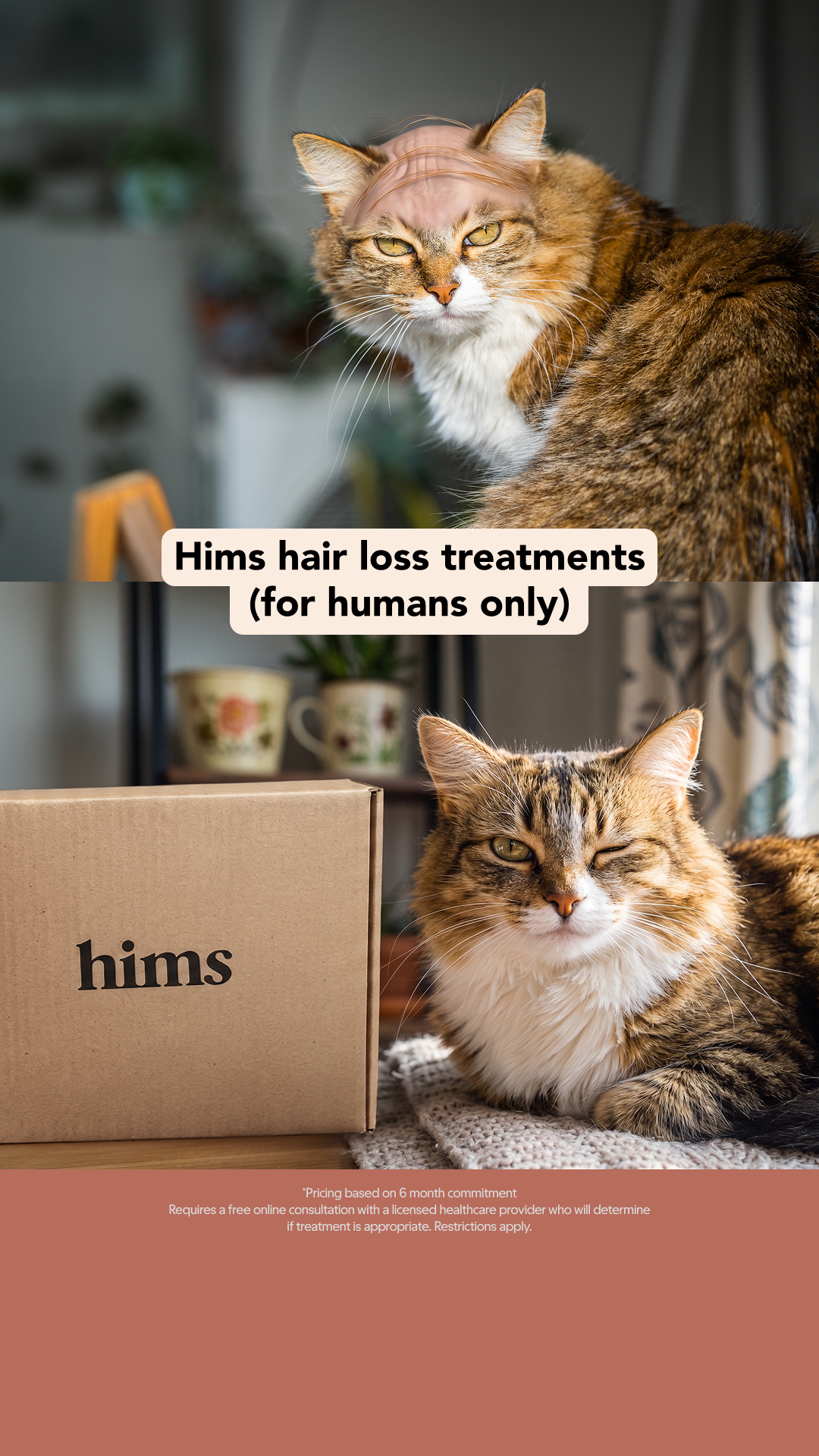 hims Facebook ad