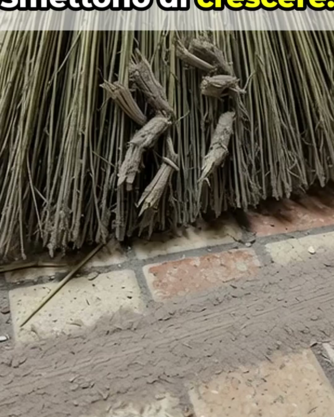 Antica Erboristeria Sapienza Facebook ad: Nessuno ti prepara a questo