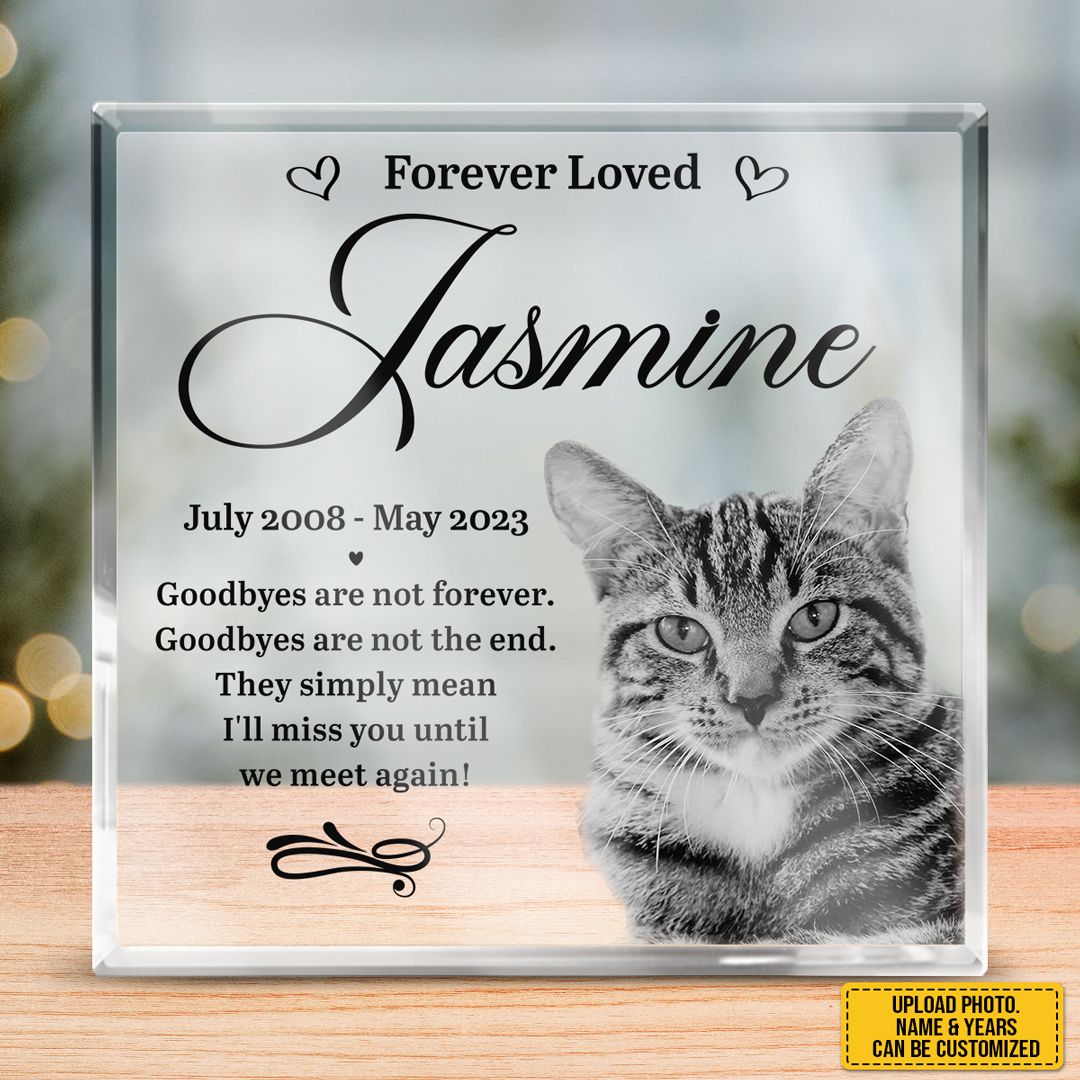 The Pawfect House Store Facebook ad
