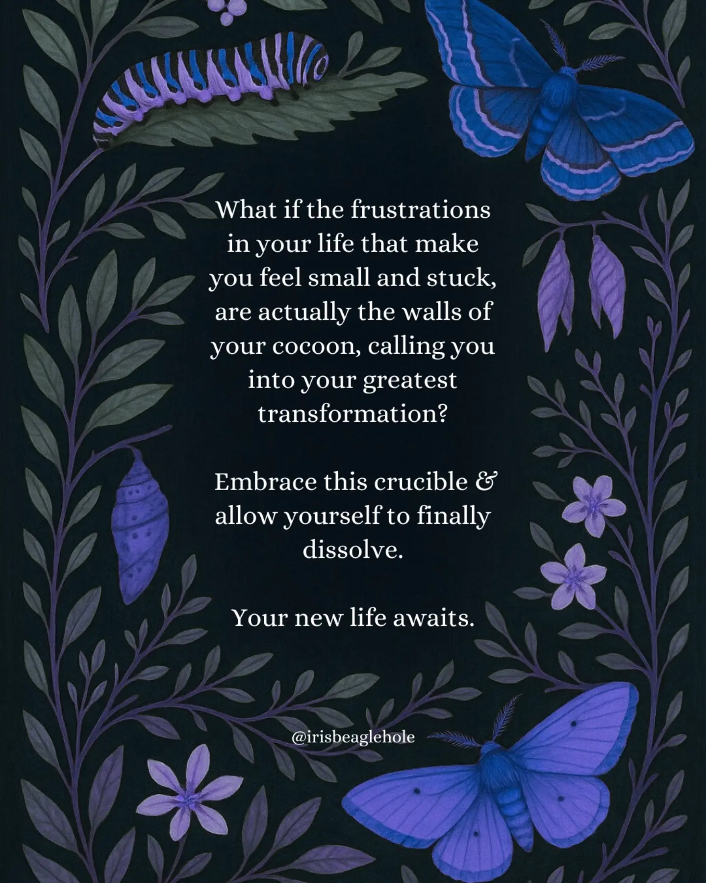 Iris Beaglehole - witchy mystery books Facebook ad