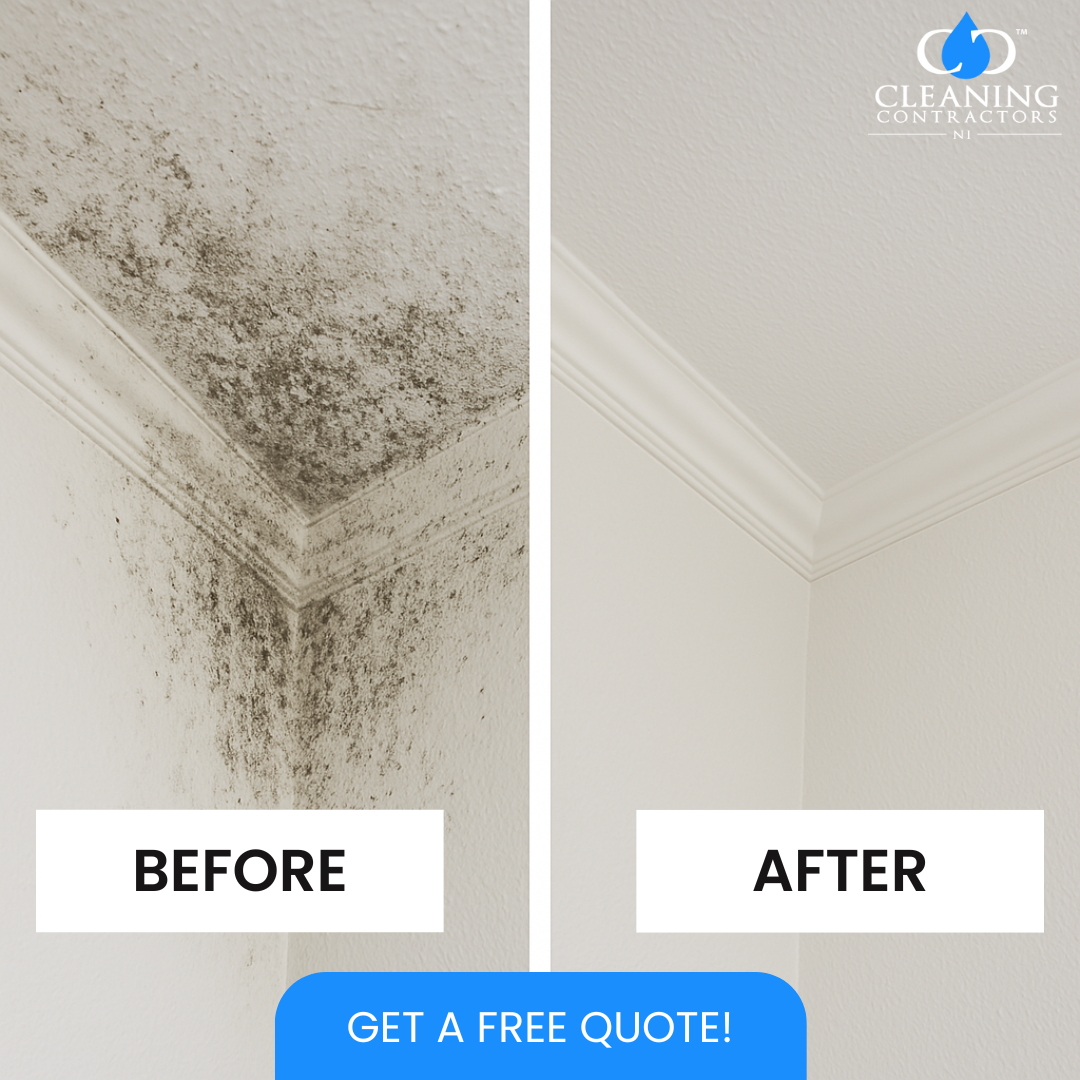 Cleaning Contractors NI carpet, upholstery & hard floor cleaning specialist Facebook ad