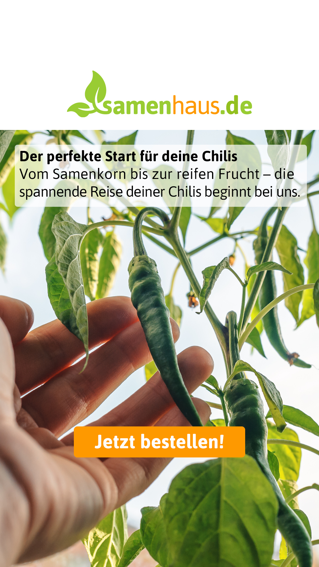 Samenhaus Müller Facebook ad