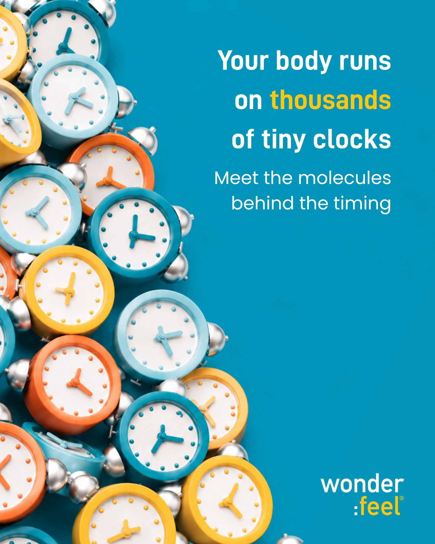 Wonderfeel Facebook ad