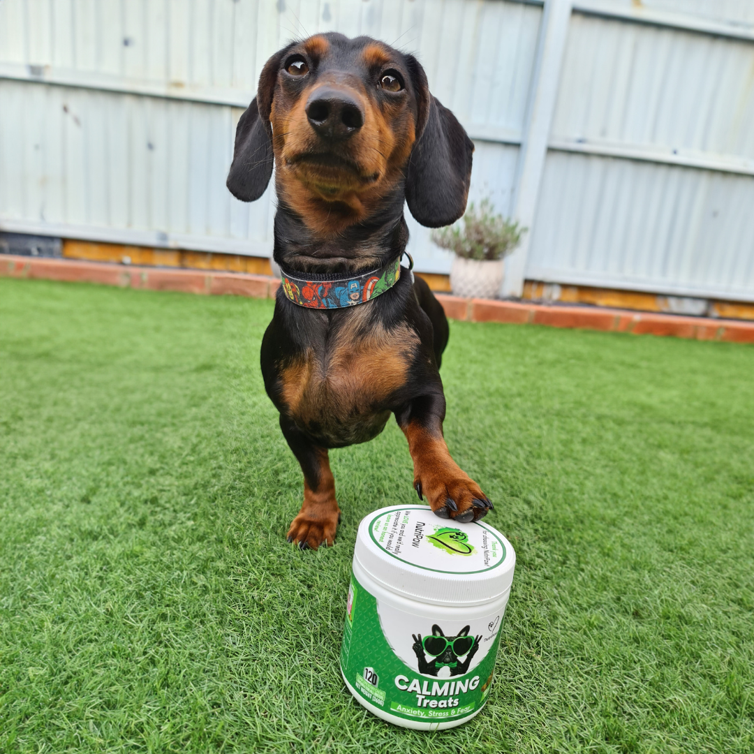 Nutri Paw Facebook ad