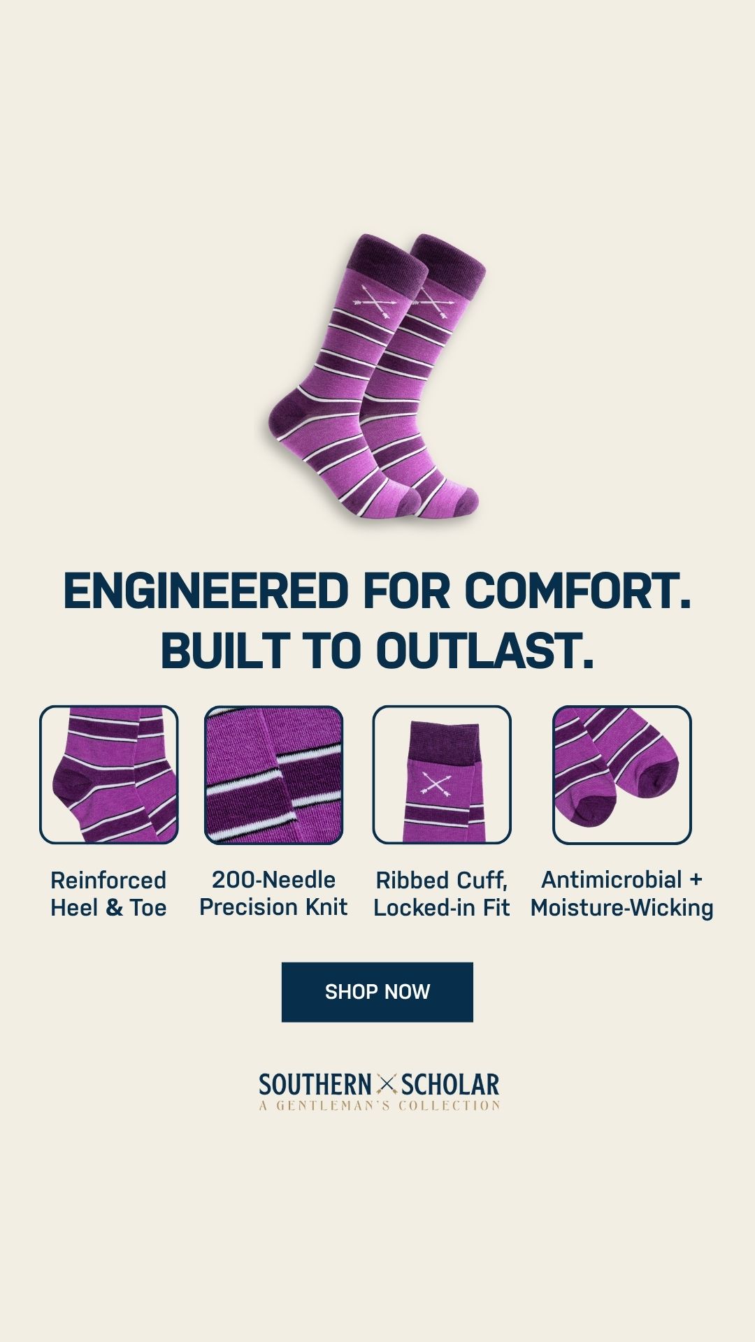 Southern Scholar Socks Facebook ad