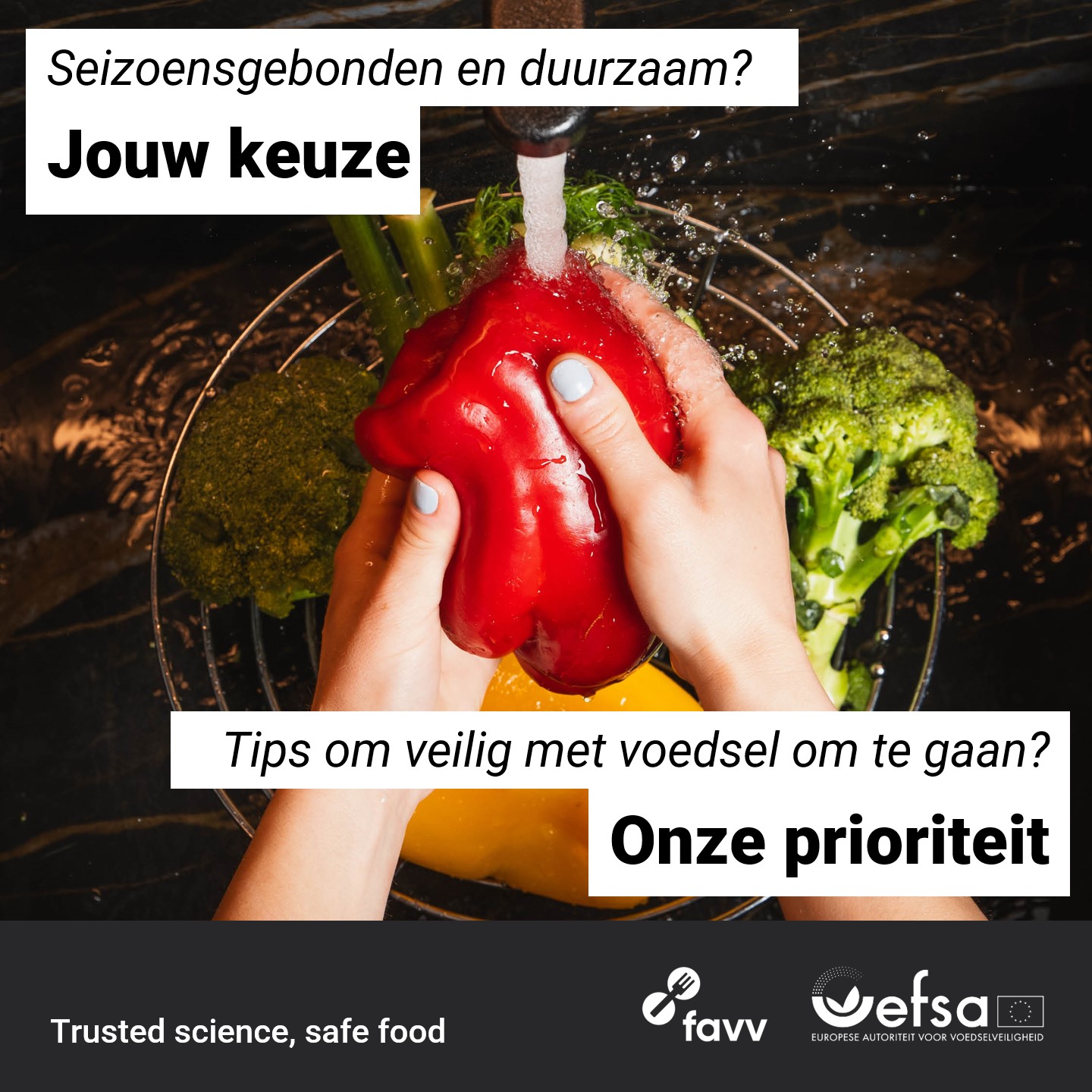 One Health One Environment EU Facebook ad: Goede hantering van voedsel