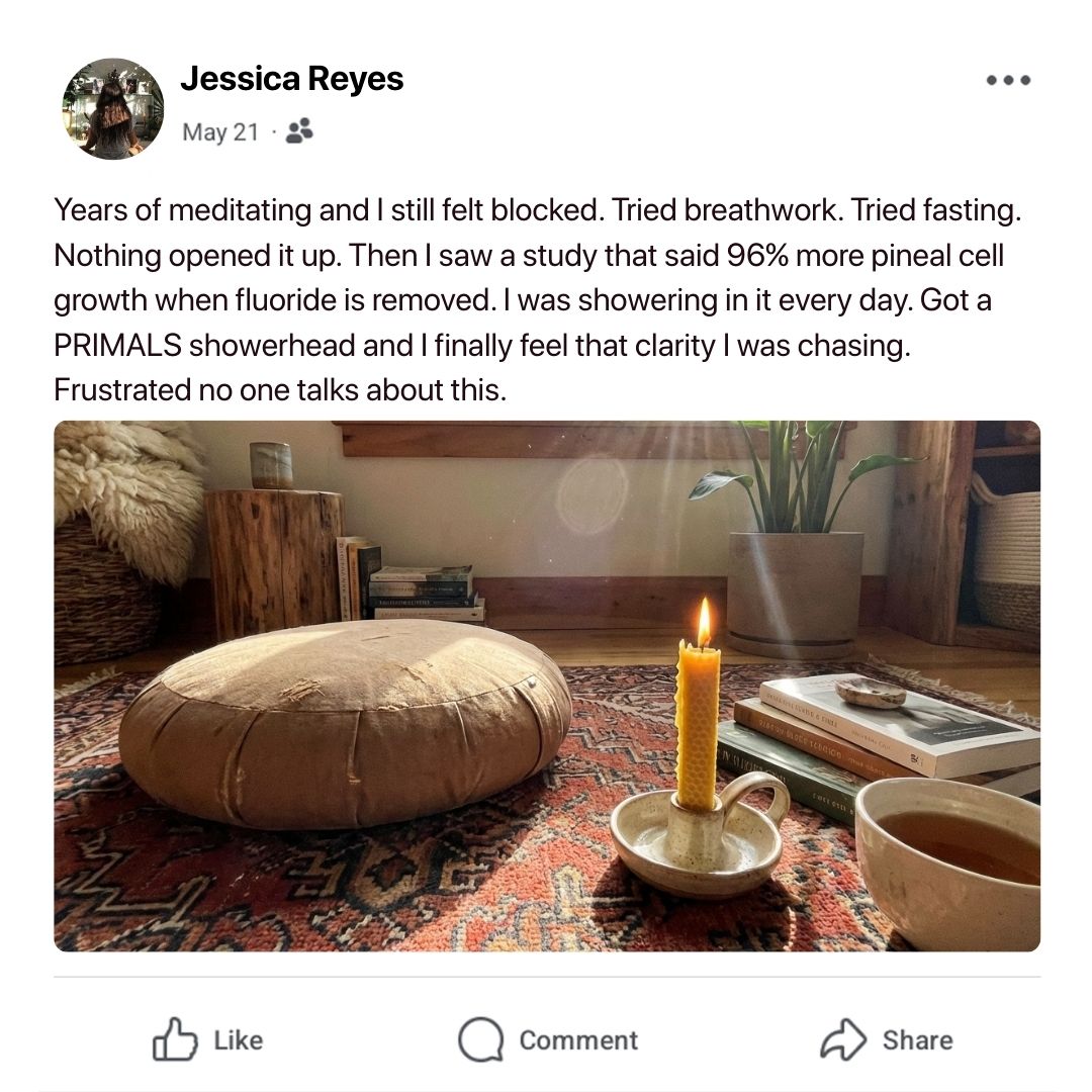 Nontoxic Product Reviews Facebook ad