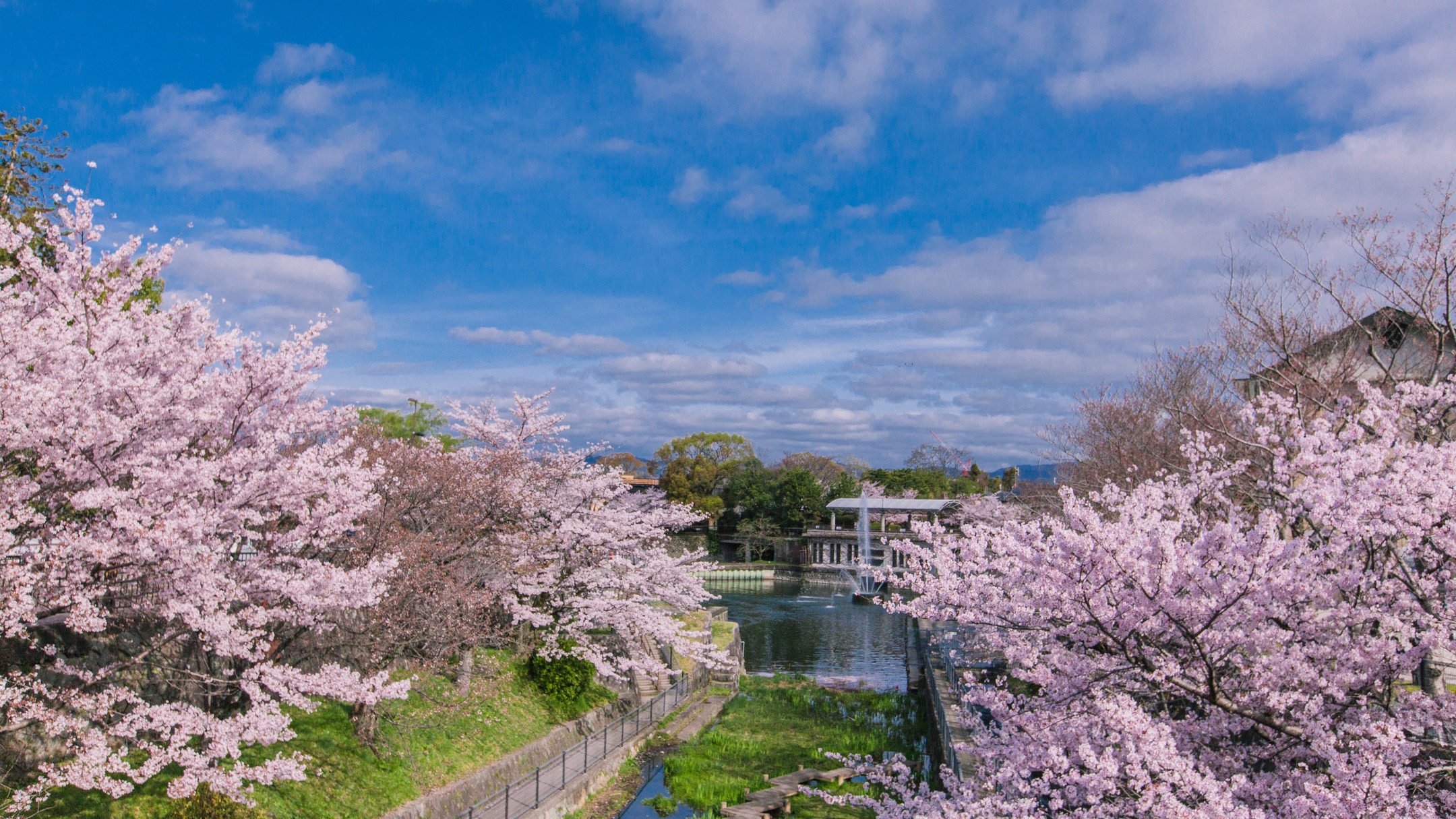 Kyoto Garden Ryokan Yachiyo Established in 1915 京都の旅館 南禅寺 八千代 Facebook ad: In a city of 99% hotels