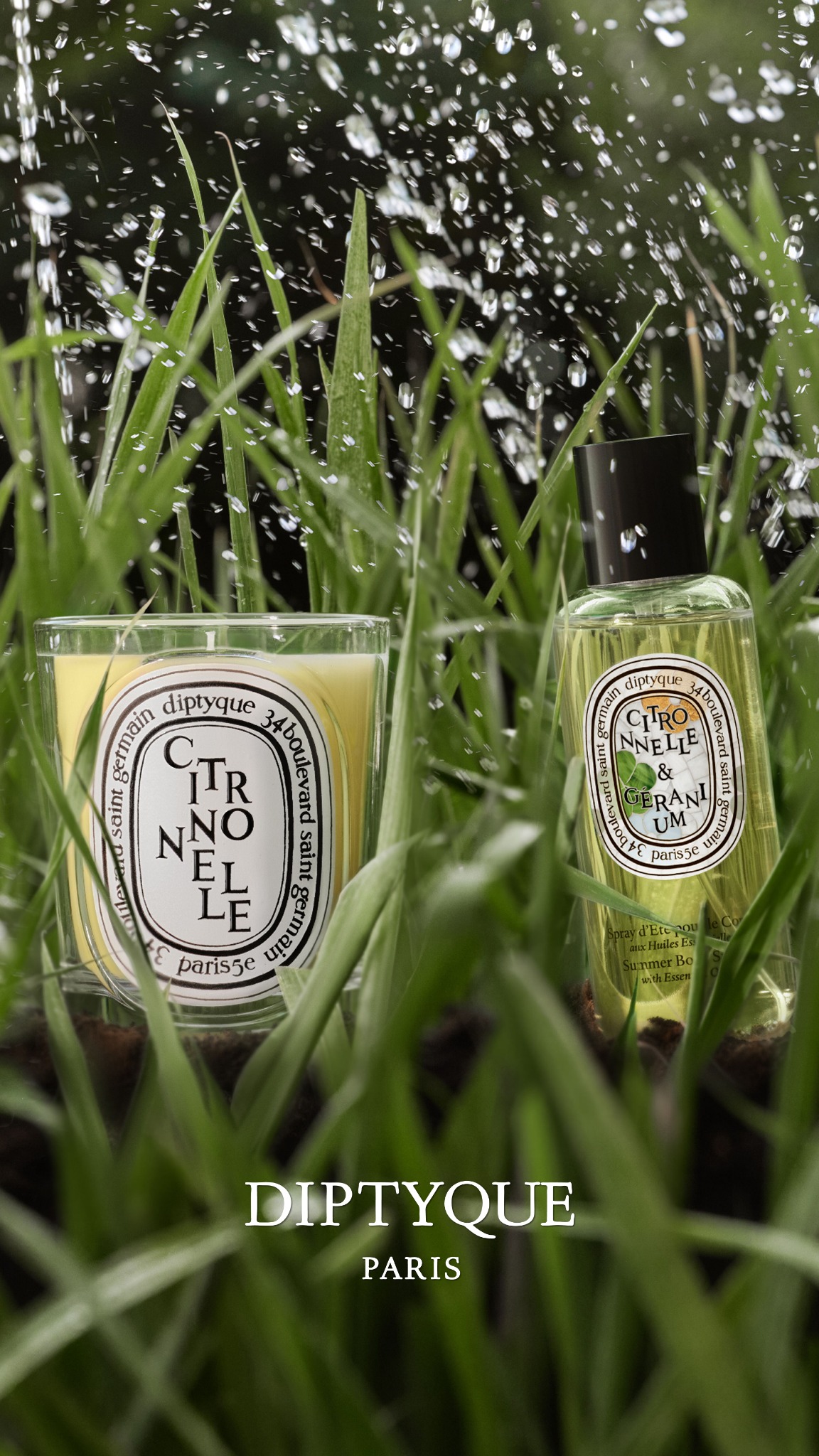 diptyque Facebook ad