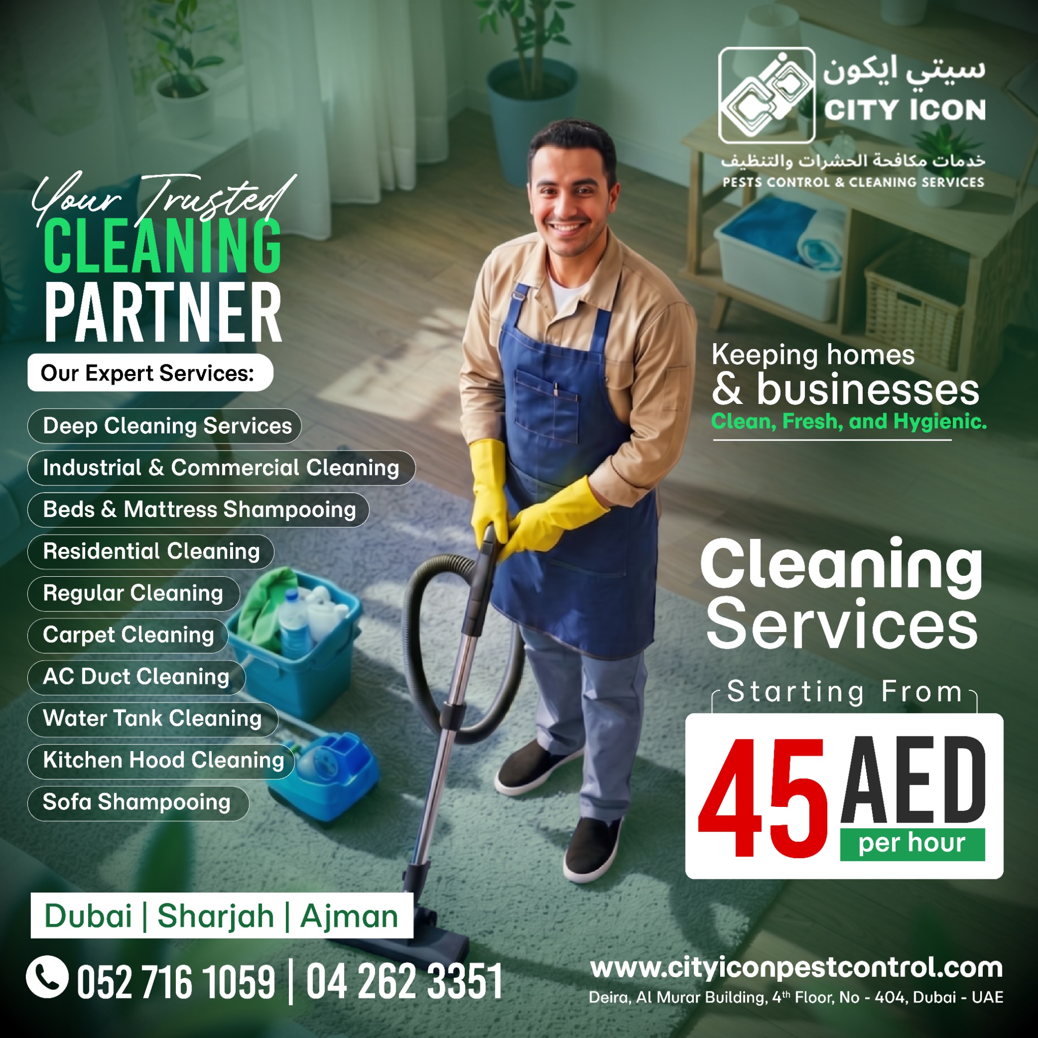 City Icon Pest Control and Cleaning Services Dubai Facebook ad
