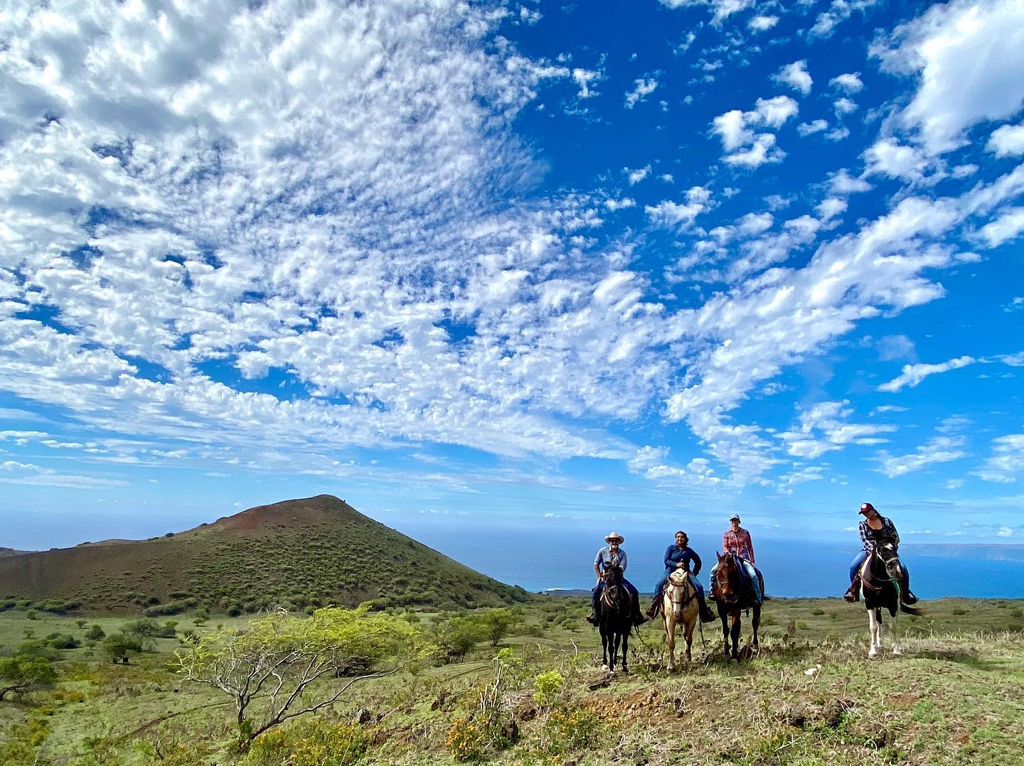 Triple L Ranch Maui Horseback Riding Facebook ad: HORSEBACK RIDING MAUI