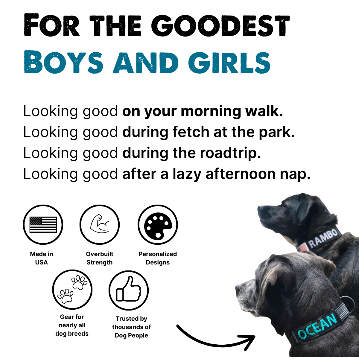 Tactipup Facebook ad