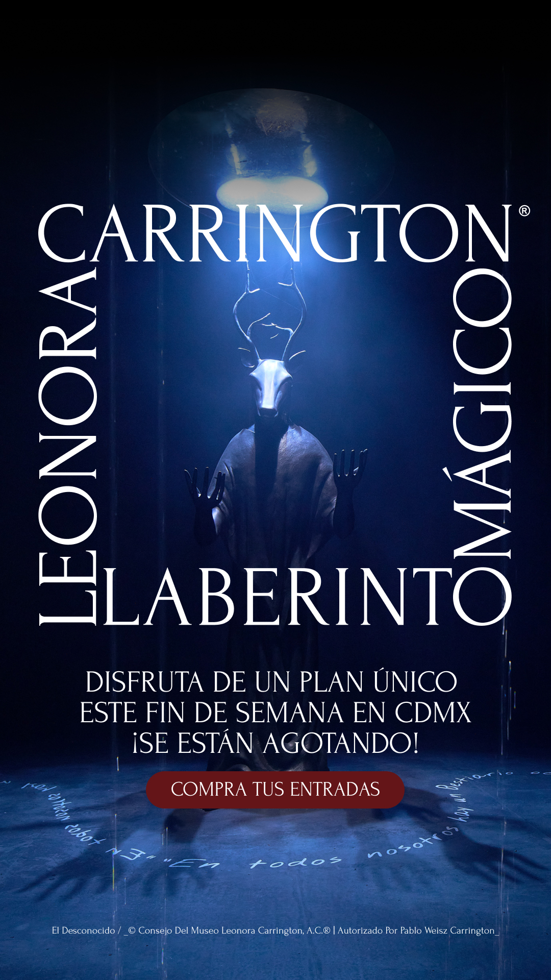 Laberinto Mágico Facebook ad from Jun 12, 2026