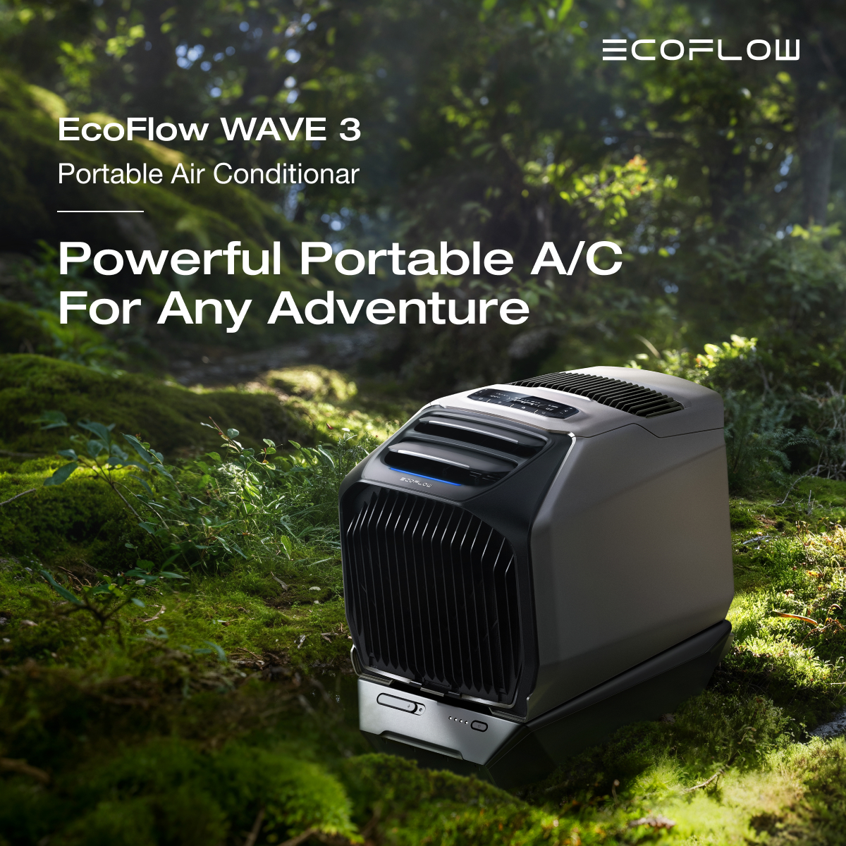 EcoFlow Facebook ad