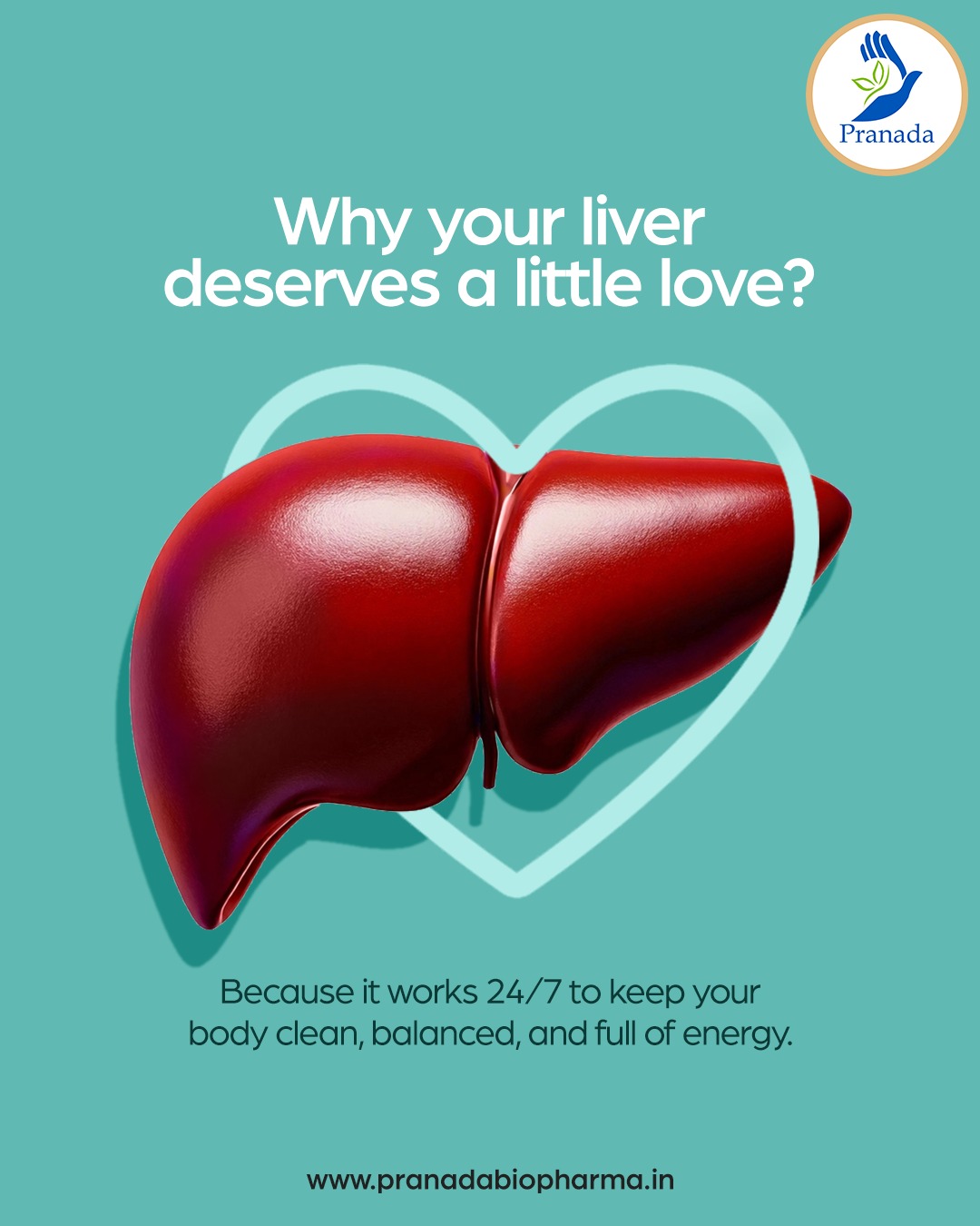 Pranada Biopharma Facebook ad: A healthy liver means smoother digestion, improved…