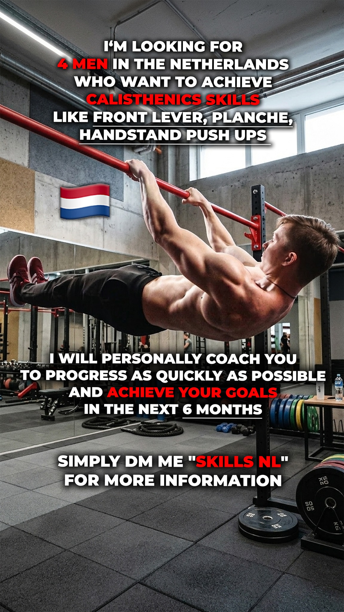 Lauris Leikarts Facebook ad: SEND ME A DM WITH SKILLS NETHERLANDS IF…