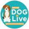 Edition Dog Live