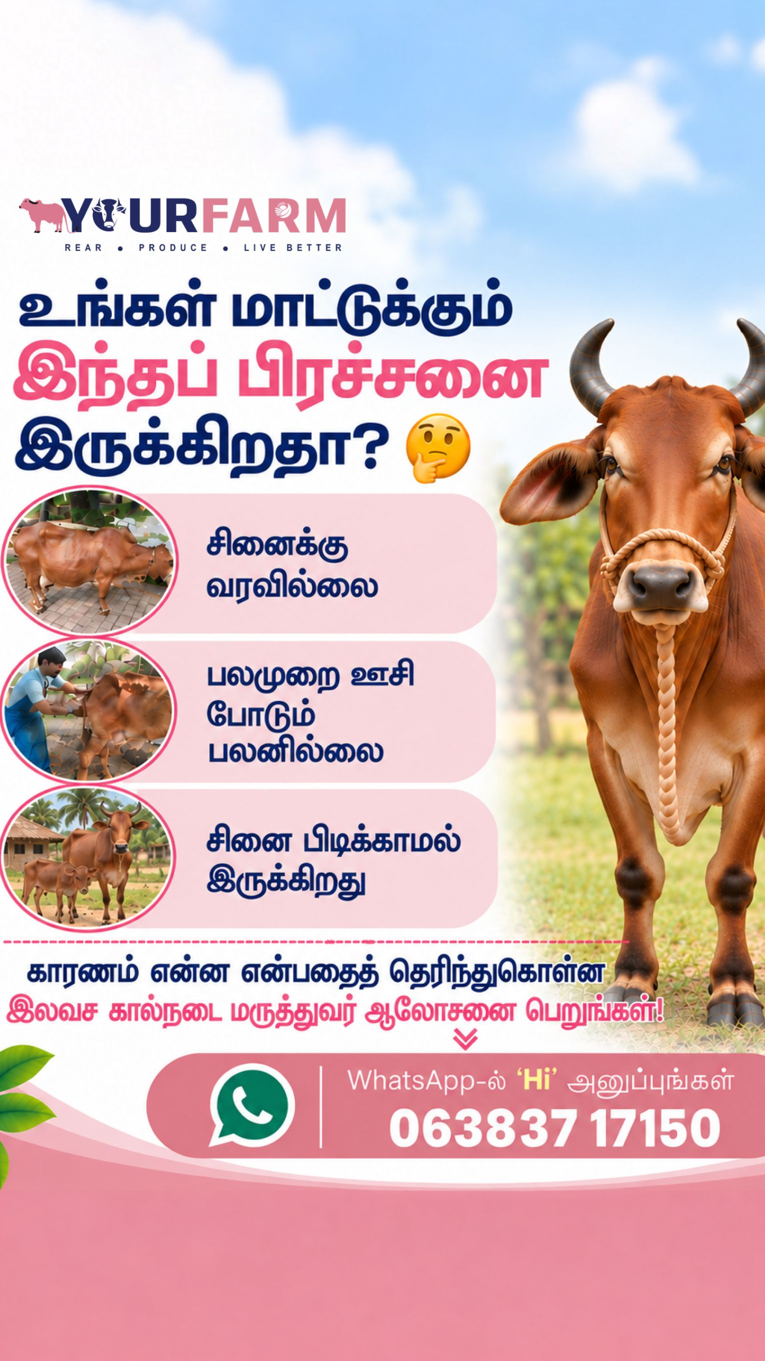 YourFarm AgriTech Facebook ad: மாடு சினைக்கு வரவில்லையா?