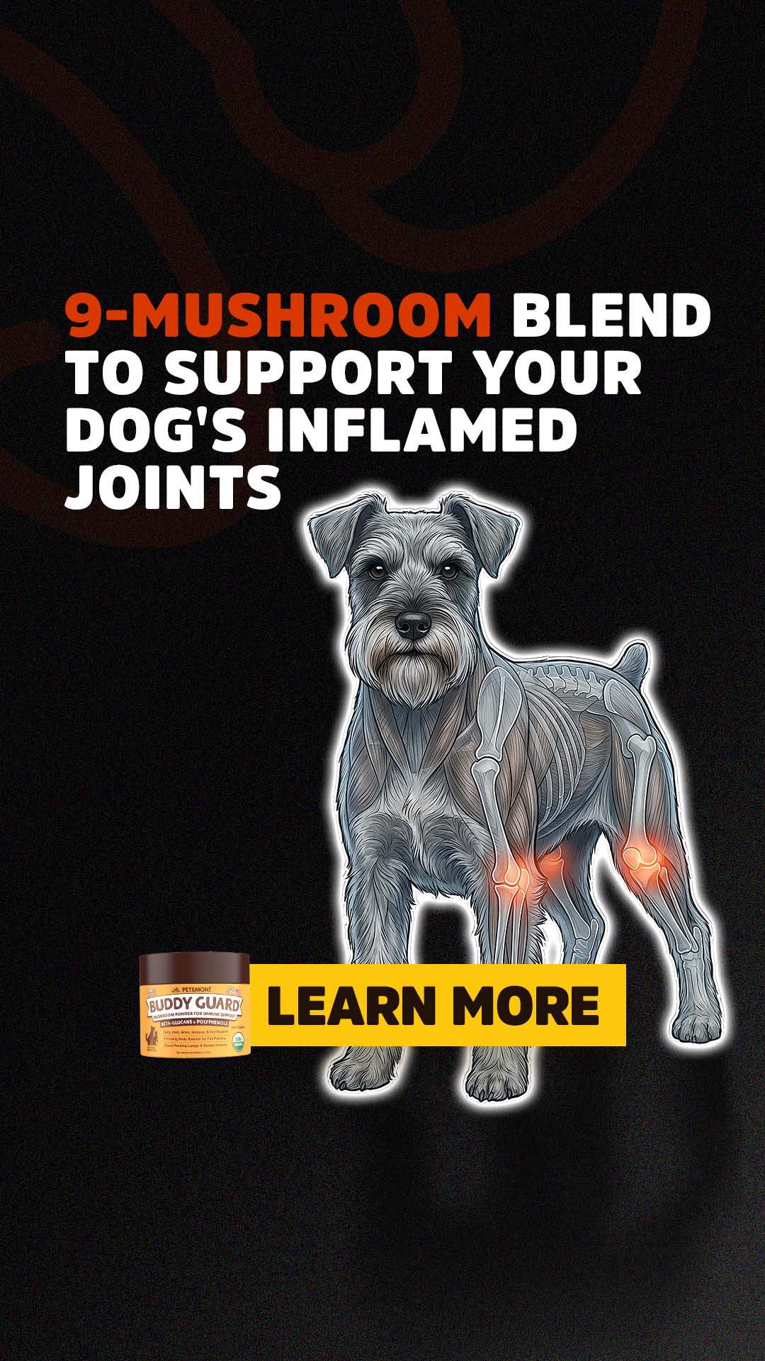 Well Pup Life Facebook ad