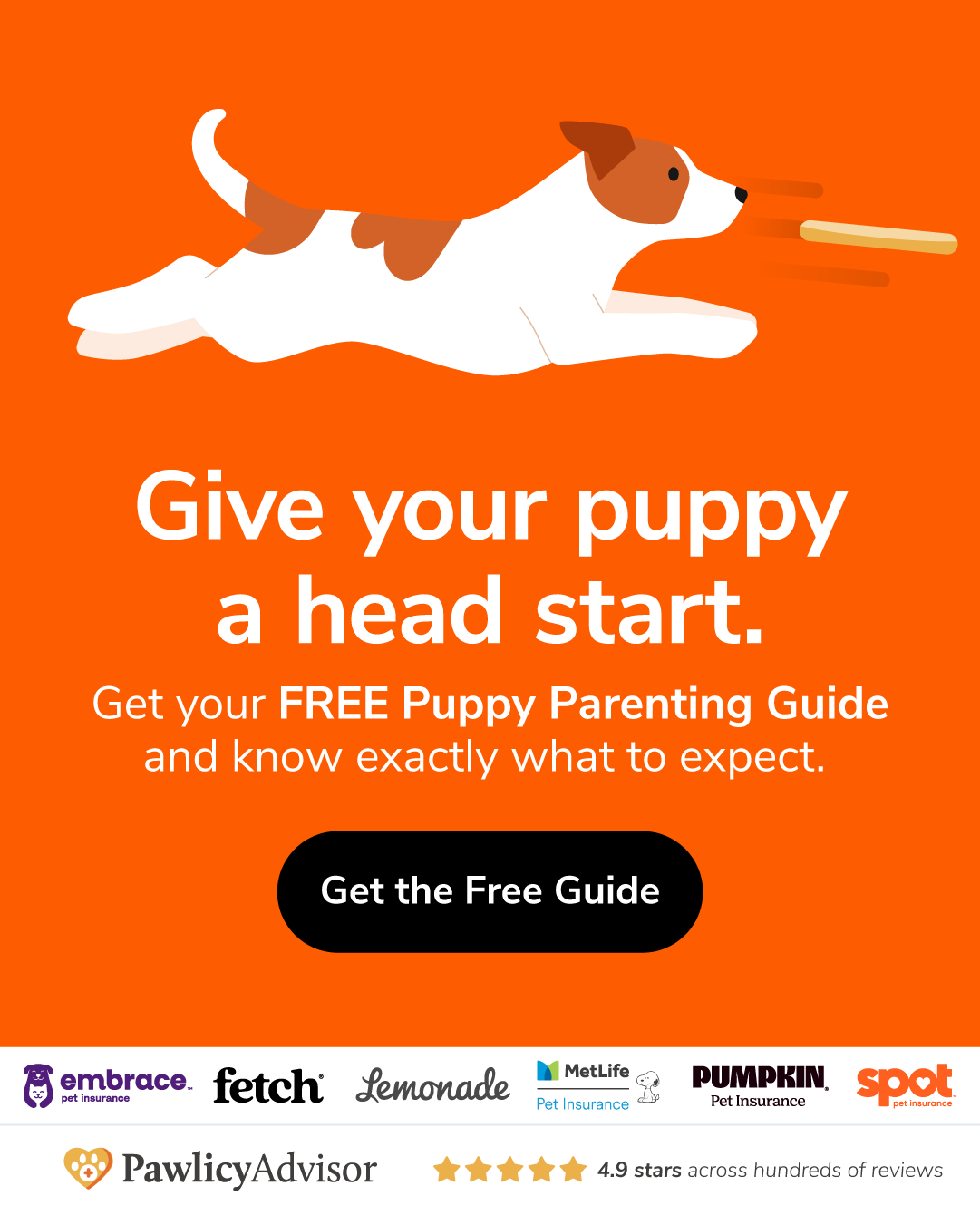 Pawlicy Advisor Facebook ad