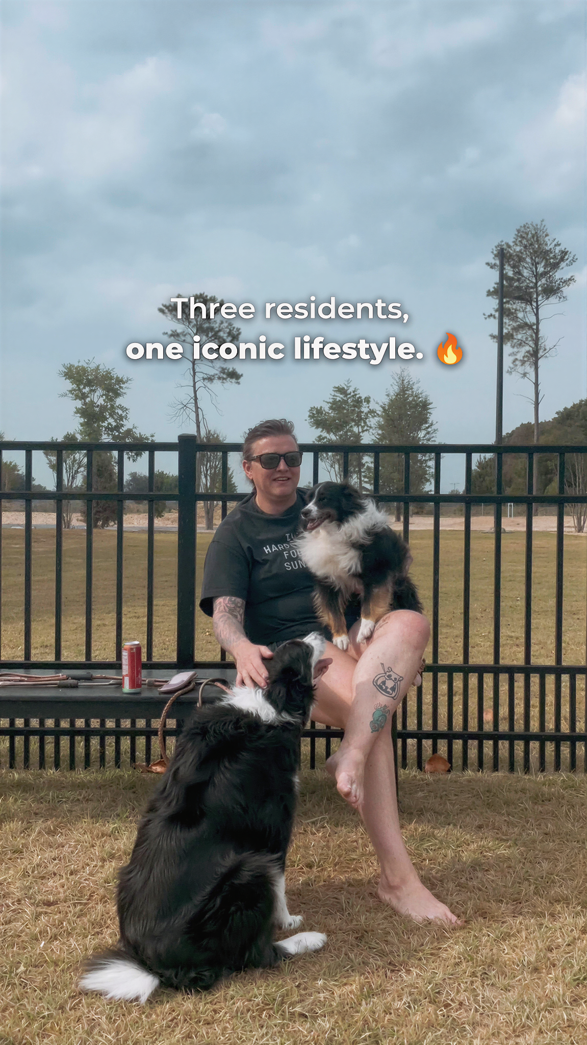 Zatitude Luxury Apartments Facebook ad: Where pets are family. Visit us!