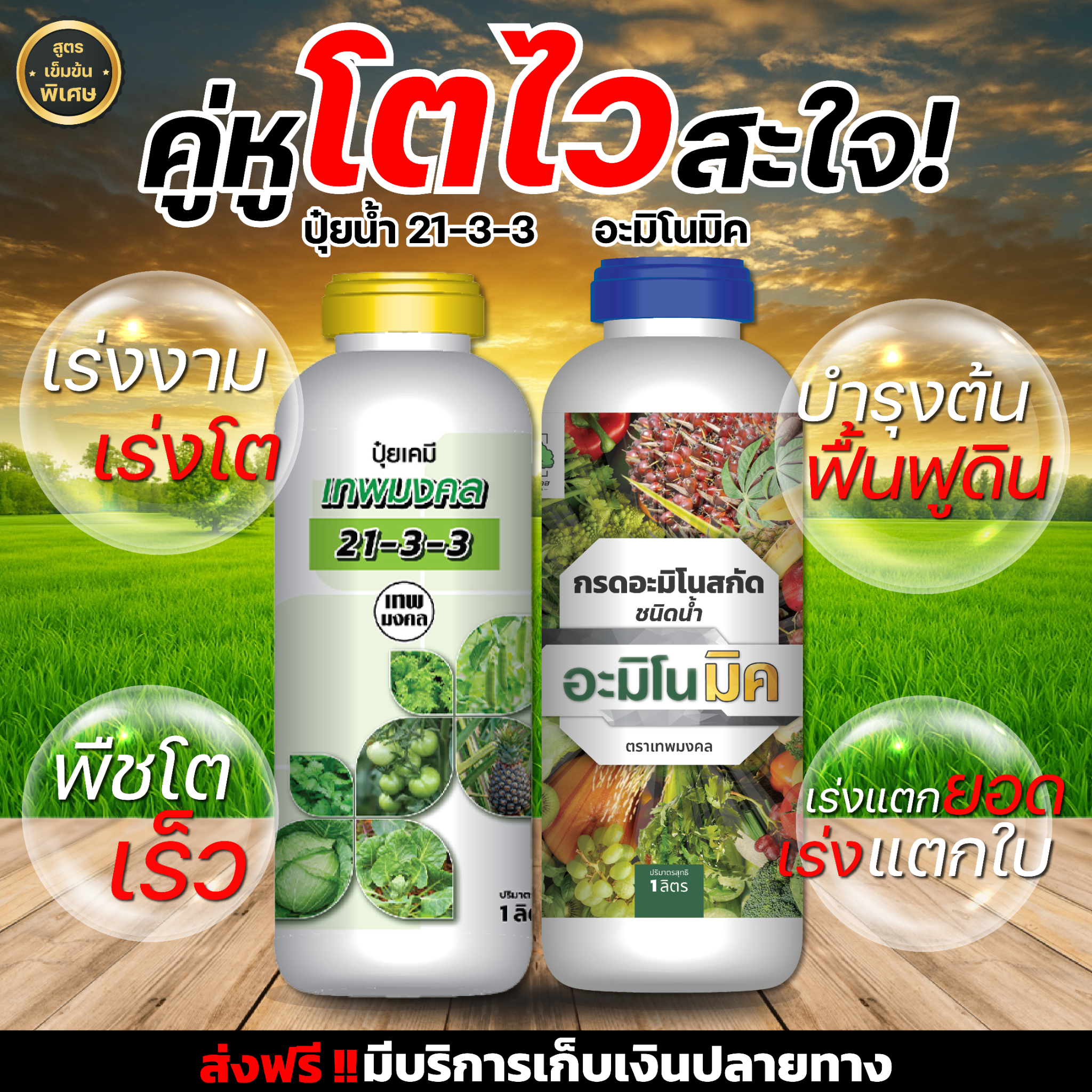 น้องปุ๋ยน้ำ ตราเทพมงคล Facebook ad