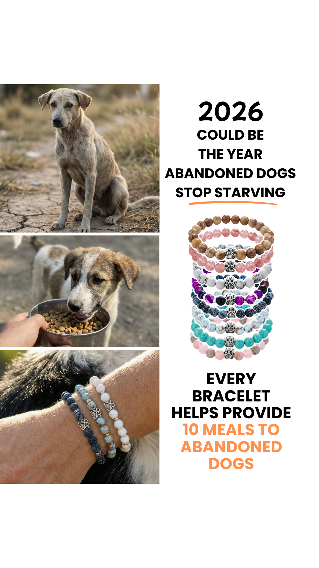 Rescue Paws Facebook ad