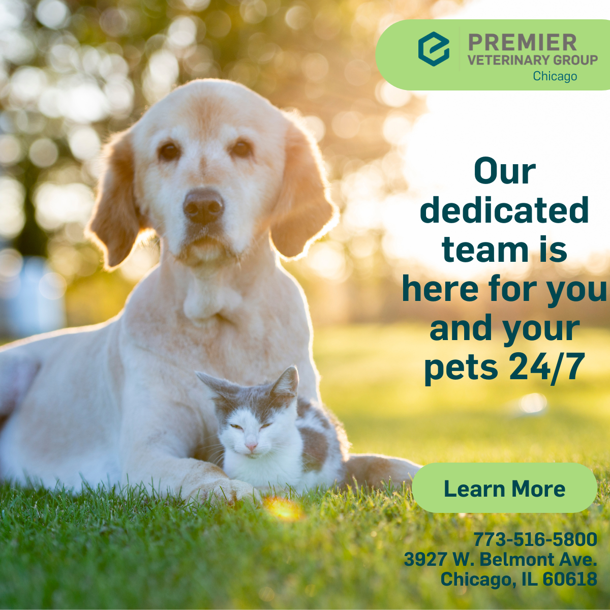 Premier Veterinary Group of Chicago Facebook ad: When your pet is experiencing an emergency, seconds…