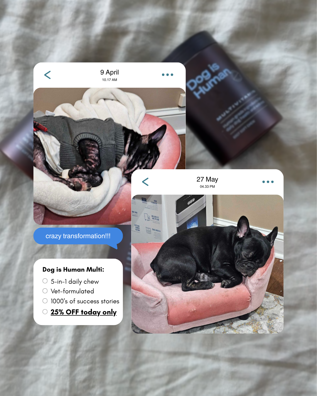 Dog is Human Facebook ad
