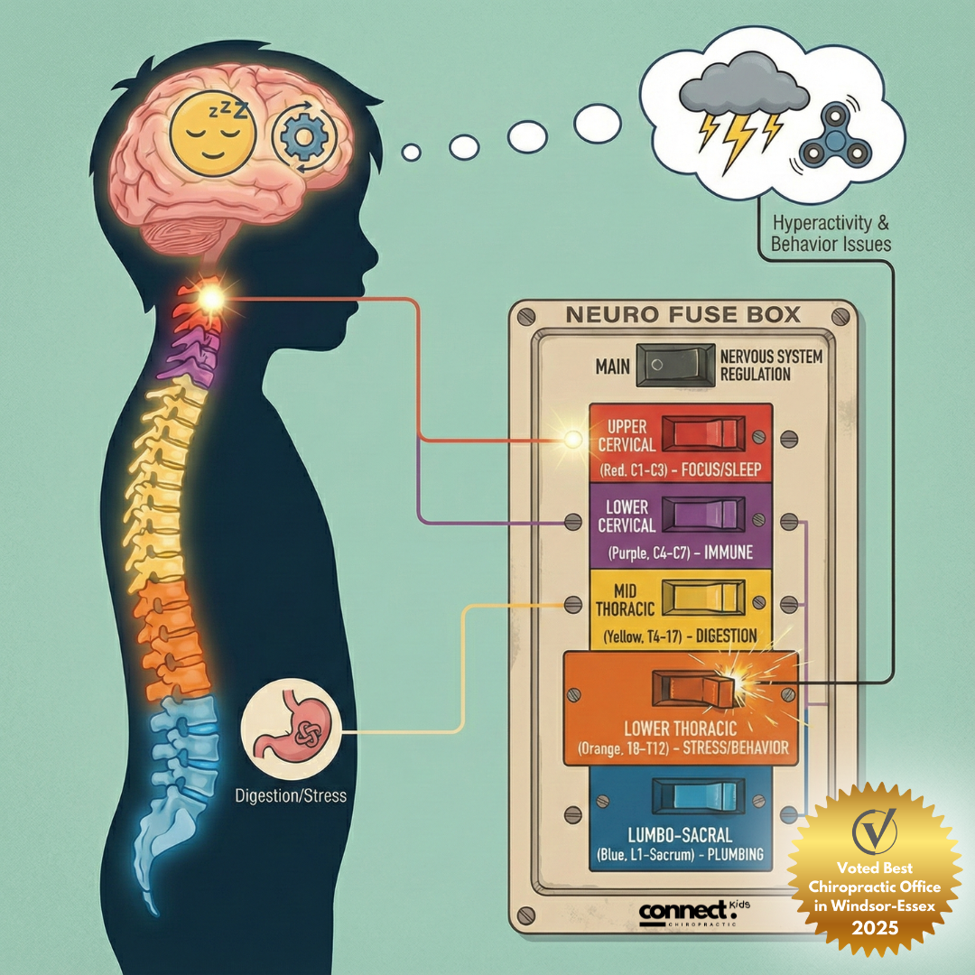 Connect Chiropractic Facebook ad: Child Nervous System Assessment (Windsor/LaSalle)