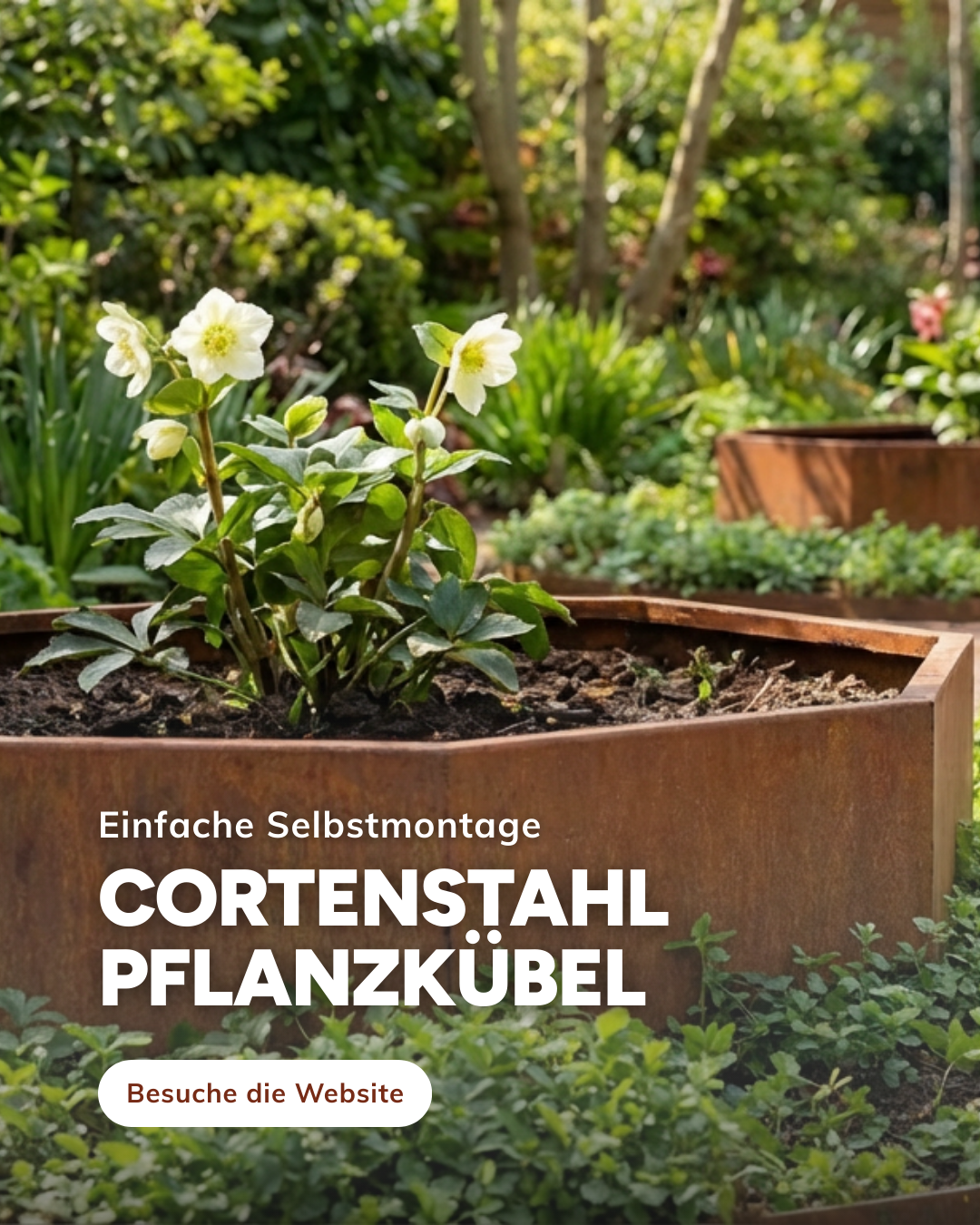 Planters of Steel Facebook ad