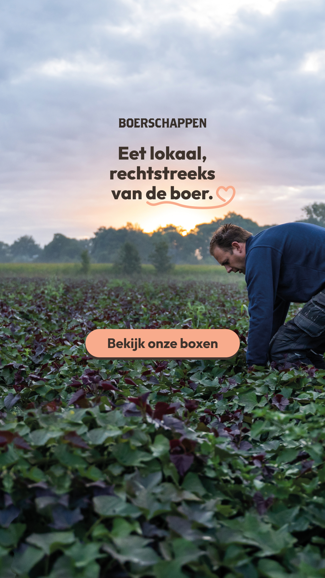 Boerschappen Facebook ad: Bestel nu je eerste box