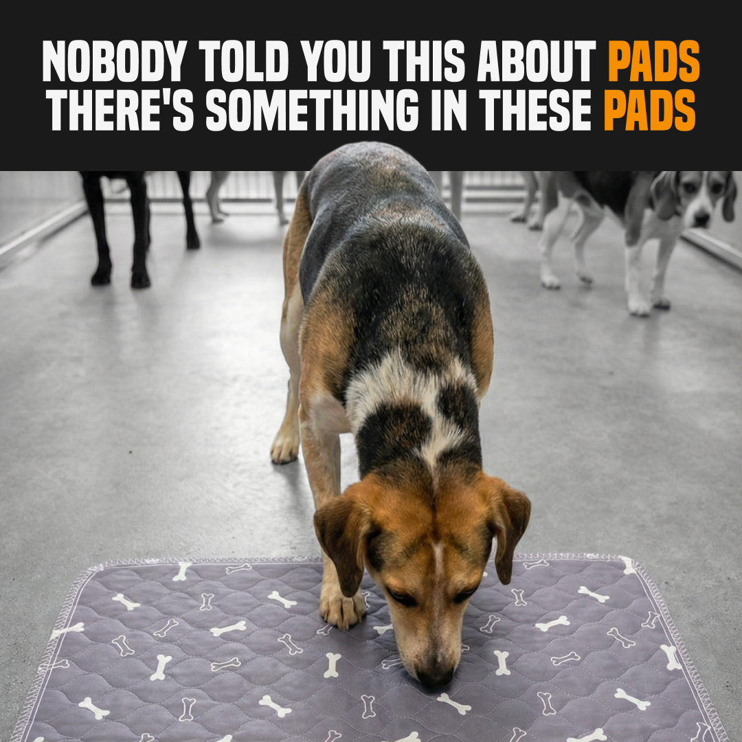 PuppyPad Facebook ad