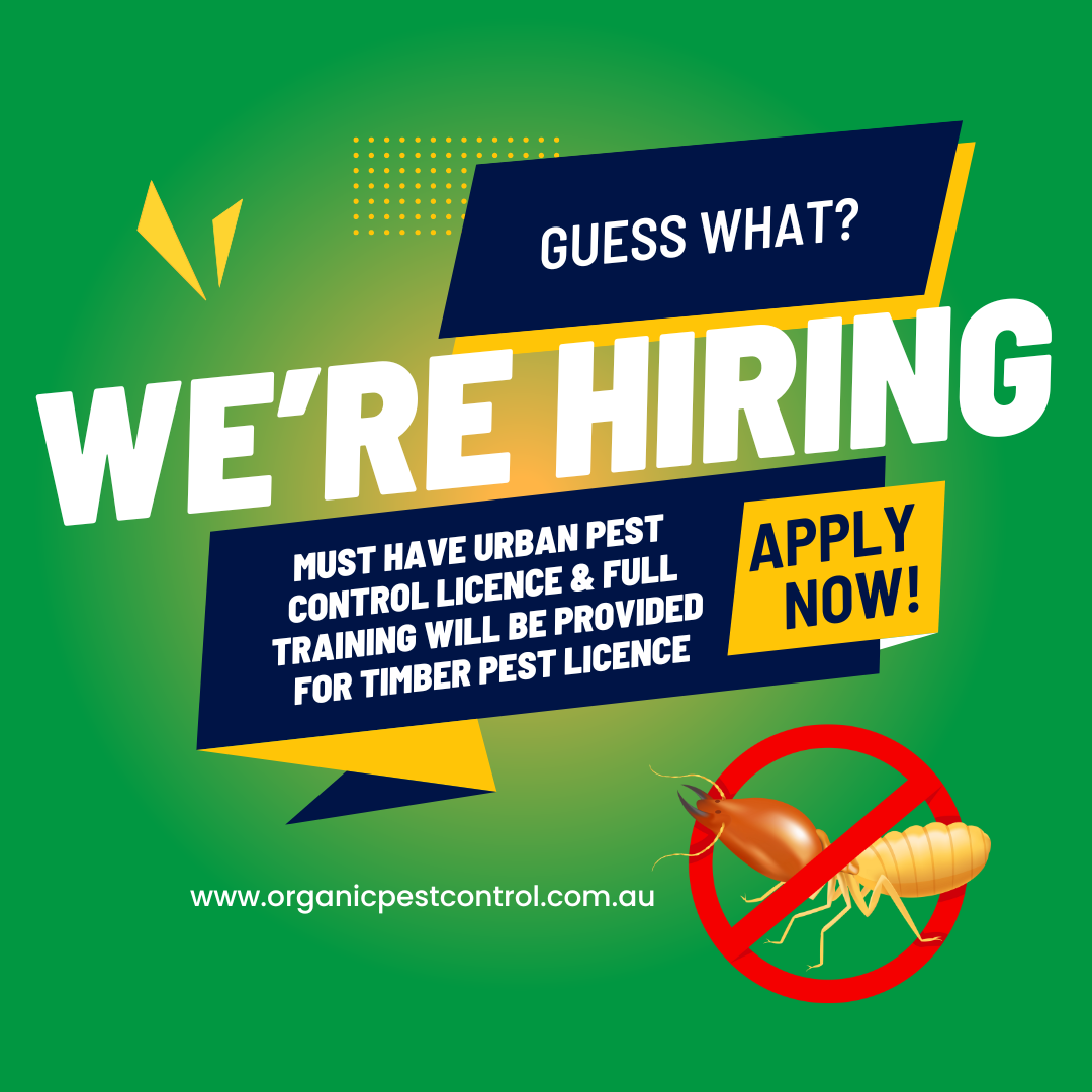 Organic Pest Control Facebook ad from Aug 28, 2024