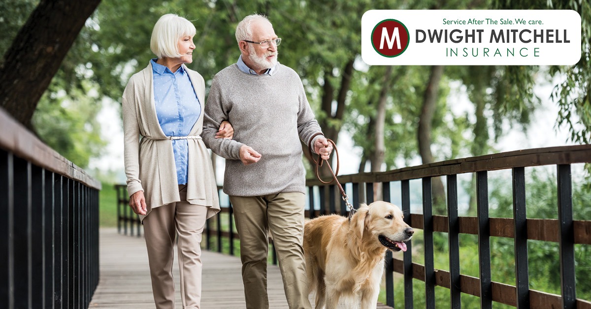 Dwight Mitchell Insurance Agency Facebook ad: FREE No-Obligation Consultation!