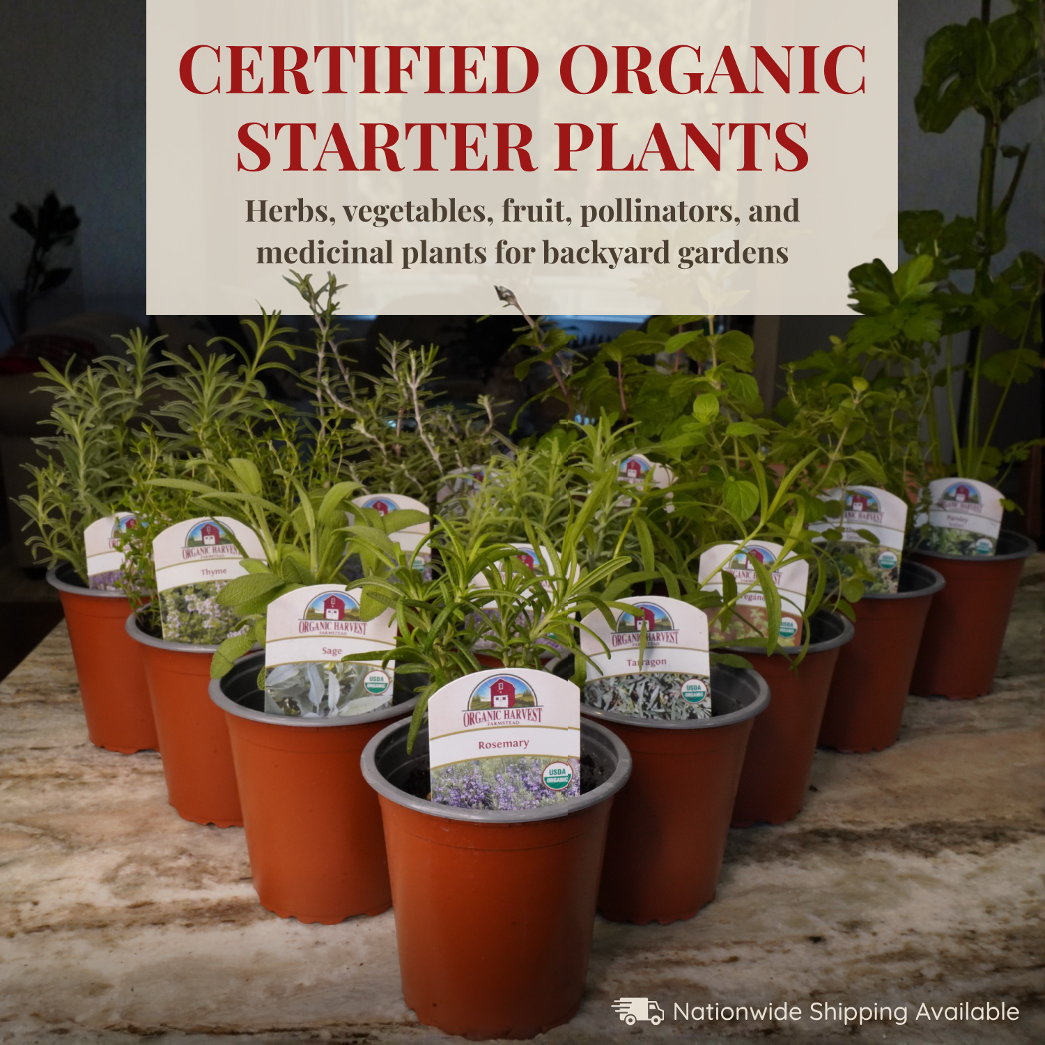 Organic Harvest Facebook ad