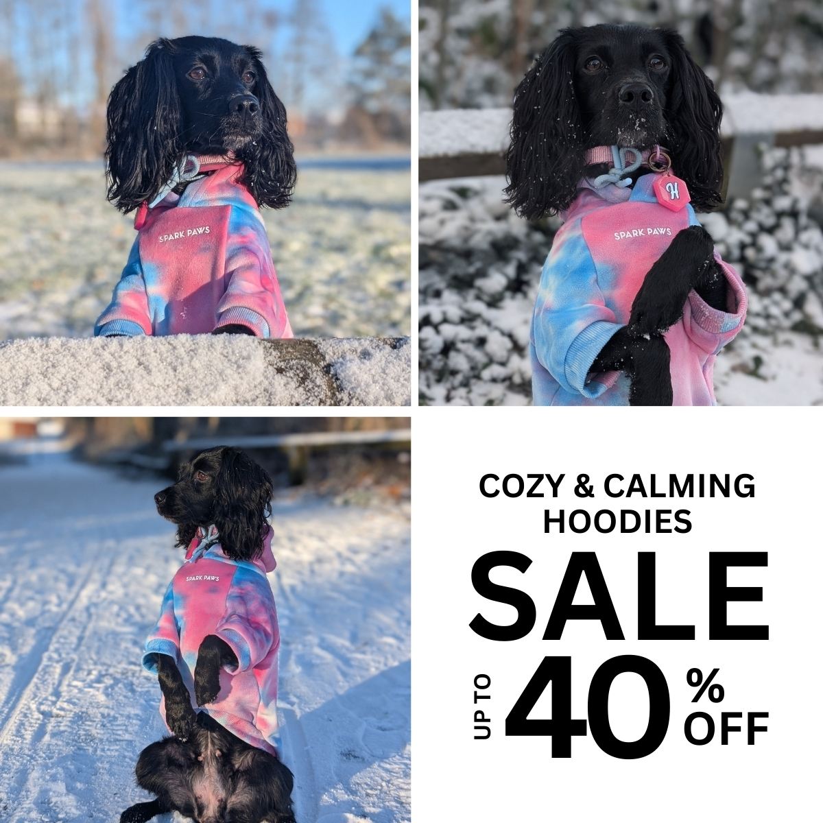 Spark Paws Facebook ad
