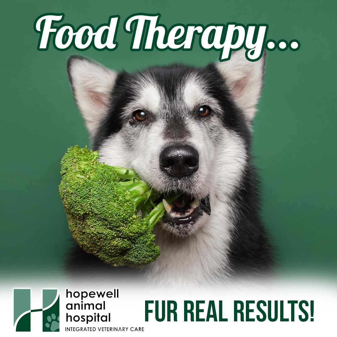 Hopewell Animal Hospital Facebook ad