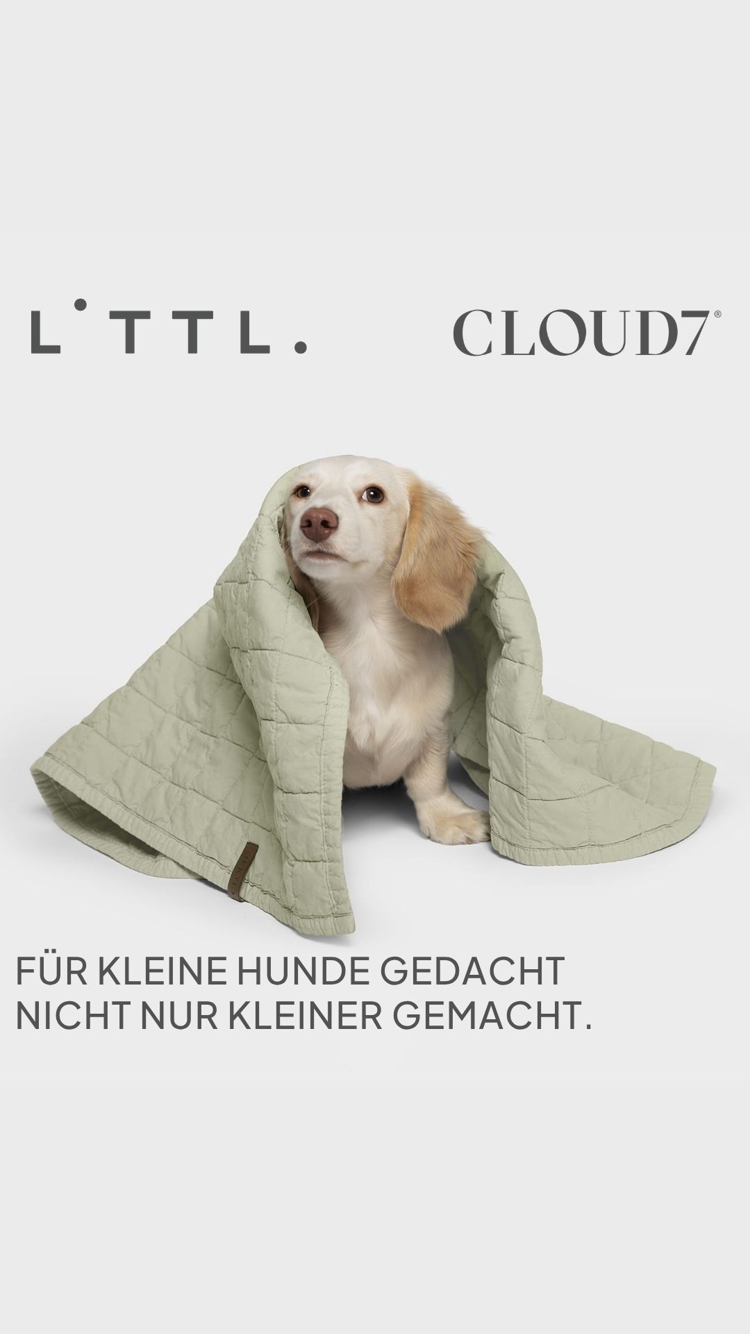 Cloud7 Facebook ad
