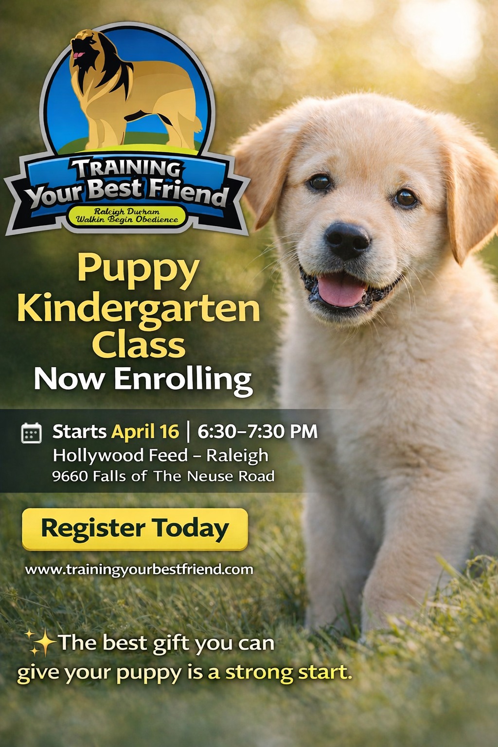 Training Your Best Friend LLC Facebook ad